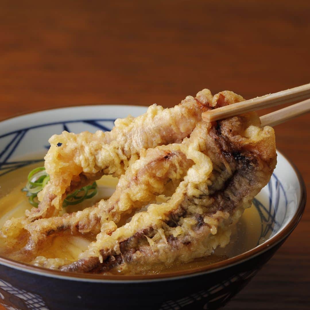 丸亀製麺のインスタグラム：「期間限定天ぷら食べたいと思ったら「🥢」で教えてください！  今月も旬の味わいが楽しめる季節限定天ぷらが登場！ ラインナップはこちら👇  🥢ぷりっとした食感とボリュームが魅力の #げそ天  🥢じゅわっと旨みが溢れる肉厚な #しいたけ天 🥢豊かな香りとしゃきっとした食感でうどんにぴったりの #まいたけ天 🥢厚切りで食べ応え抜群！だしソースで食べたい #ハムカツ  この機会にぜひお試しください😋  ※一部取扱のない店舗がございます。  #丸亀製麺 #丸亀うどん #udon #麺 #うどん」