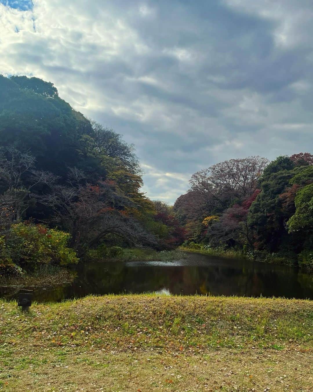辻直子さんのインスタグラム写真 - (辻直子Instagram)「#allblack#inautumncolors🍁🍂 #kokyo #冬はちょっとだけ好き#でもコートの季節は大好きです #皇居のなかは別世界#美しい自然がたっぷりありました  東京はいろんな顔を見せてくれる大好きな場所♡  皇居の一般公開は日曜日までみたいですよ〜🫶🏻」12月1日 21時10分 - naoko.ts