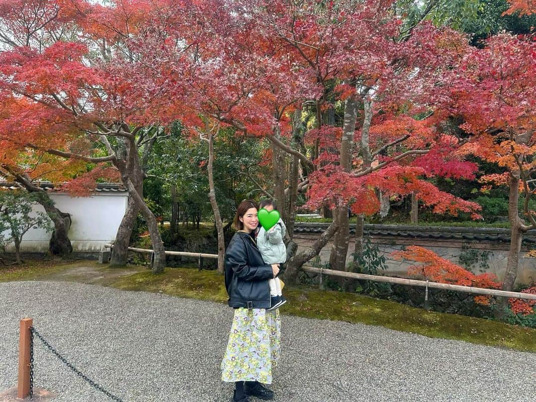 yuiさんのインスタグラム写真 - (yuiInstagram)「最近ハマっている奈良にて紅葉が見れました🫎🍁 日本の春夏秋冬て素敵だなぁと改めて思った🍁 私は朝7時から娘に振り回され (朝食では2回お水をこぼしテンヤワンヤ) 東大寺から奈良公園のお散歩をして疲れ果て、10時半には 疲れが隠せない顔面となってます😇 ２人旅全然平気だけどご飯が本当に大変。朝昼晩お部屋食にしたい。笑 #奈良公園」12月1日 21時12分 - yuiram