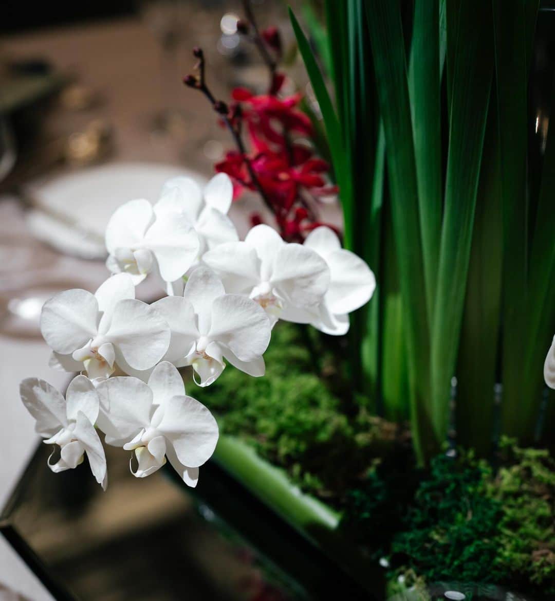 本郷多香子のインスタグラム：「結婚式の投稿をそろそろ🥹  まずは装花💐 テーマの『わ』を感じれるようにしてくださいとオーダー。 コテコテになりすぎない、温かい感じにしてくれて とっても満足🙏🏻♡  #結婚式#装花#フラワーアレンジメント  #フォーシーズンズ京都 #卒花嫁レポ」