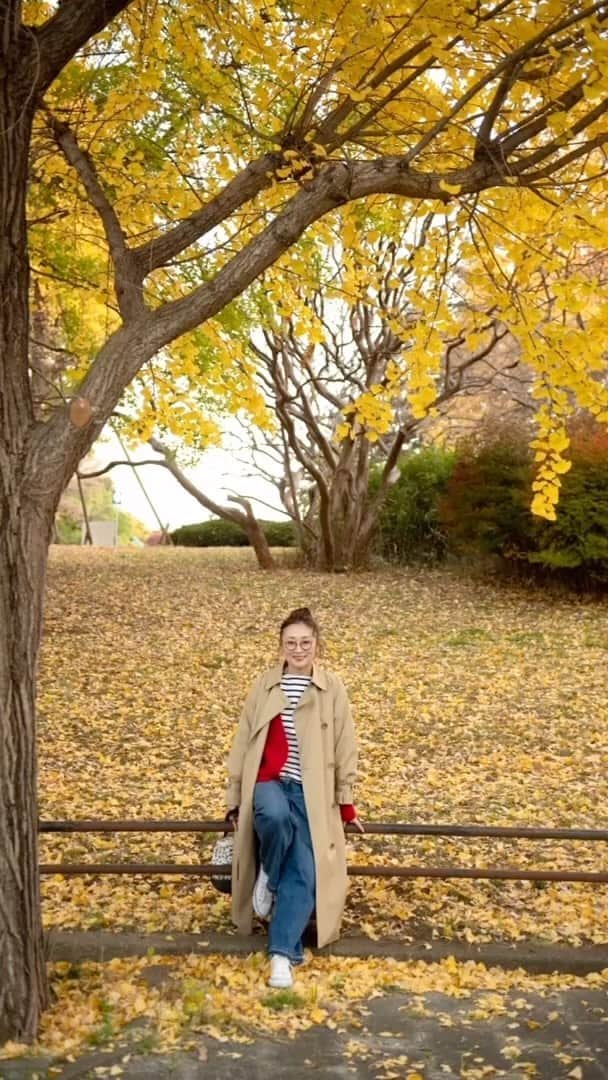 masakiのインスタグラム：「🍁 久しぶりにこの道を通ったら こんなに季節が進んでいたなんて！ 目と鼻の先なのに気づかなかったよ。 もっとゆっくり秋を楽しみたいなぁ。  聞かれてないけど今日の着こなし。 我ながらよくできた自画自賛の オーバートレンチコート、 あったか還暦色ニットガーデに ボーダー、カーブデニム、 レオパードバケツトートに足元コンバース🥸👟 明日は金沢pop-upへ あったかくして行ってきます♡」