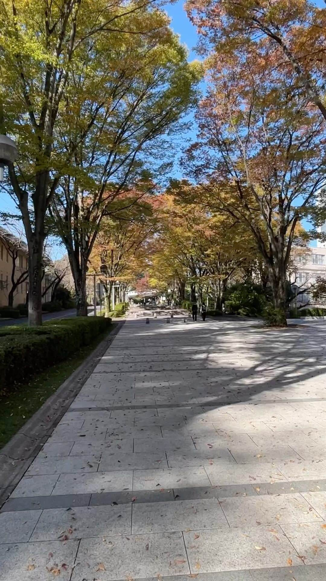 Soka Universityのインスタグラム