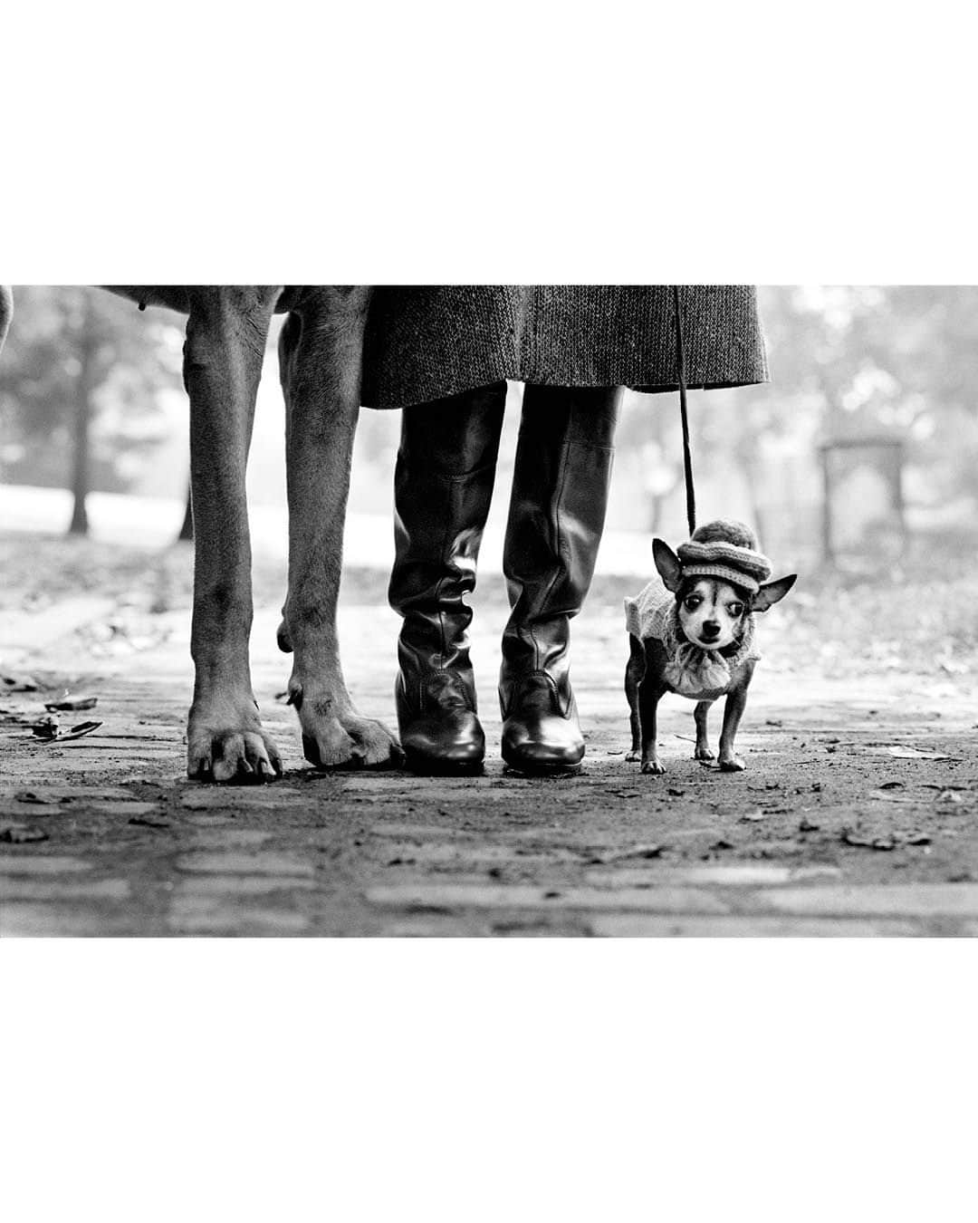 Magnum Photosさんのインスタグラム写真 - (Magnum PhotosInstagram)「Remembering @elliotterwitt (1928-2023), a remarkable photographer and long-time Magnum member whose lens beautifully captured the human experience.⁠ ⁠ Spanning over seven decades, Erwitt’s career leaves an indelible mark on the medium of photography, effortlessly blending the profound with a touch of humor.⁠ ⁠ Erwitt believed photography should speak to the senses and emotions: “When the photograph happens, it comes easily, as a gift that should not be questioned or analyzed.” He preferred not to intellectualize his profession, often stating simply that photography allowed him to pursue his interests while making a living.⁠ ⁠ Dogs held a special place in Erwitt’s heart, offering insights into humanity. In his 1998 book Dog Dogs, he noted, “I don’t know of any other animals closer to us in qualities of heart, sentiment and loyalty.”⁠ ⁠ Love and romance were recurring themes in Erwitt’s work, with iconic shots like a couple kissing in a car’s side mirror and Robert and Mary Frank dancing in a kitchen resonating across generations.⁠ ⁠ Throughout his career, Erwitt captured notable figures like Marilyn Monroe, Grace Kelly, Jack Kerouac, John F. Kennedy and Jackie Kennedy. He witnessed and documented pivotal moments in history, from the 1959 Kitchen Debate between Nikita Khrushchev and Richard Nixon to portraits of Fidel Castro and Che Guevara in 1964.⁠ ⁠ 🔗 We reflect on the life and work of the legendary Magnum image-maker at the link in the @magnumphotos bio.⁠ ⁠ PHOTOS (left to right):⁠ ⁠ (1) Provence, France. 1955.⁠ ⁠ (2) Marilyn Monroe. New York, USA. 1956. ⁠ ⁠ (3) New York, USA. 1974.⁠ ⁠ (4) Nikita Khrushchev and Richard Nixon. The Kitchen Debate. Moscow, USSR. 1959. ⁠ ⁠ (5) Eiffel tower 100th anniversary. Paris, France. 1989. ⁠ ⁠ (6) Berkeley, California, USA. 1956.⁠ ⁠ (7) Prado Museum. Madrid, Spain. 1995. ⁠ ⁠ (8) Che Guevara. Havana, Cuba. 1964. ⁠ ⁠ (9) New York City, USA. 2000.⁠ ⁠ (10) Valencia, Spain. 1952.⁠ ⁠ © @elliotterwitt / Magnum Photos」12月1日 21時45分 - magnumphotos