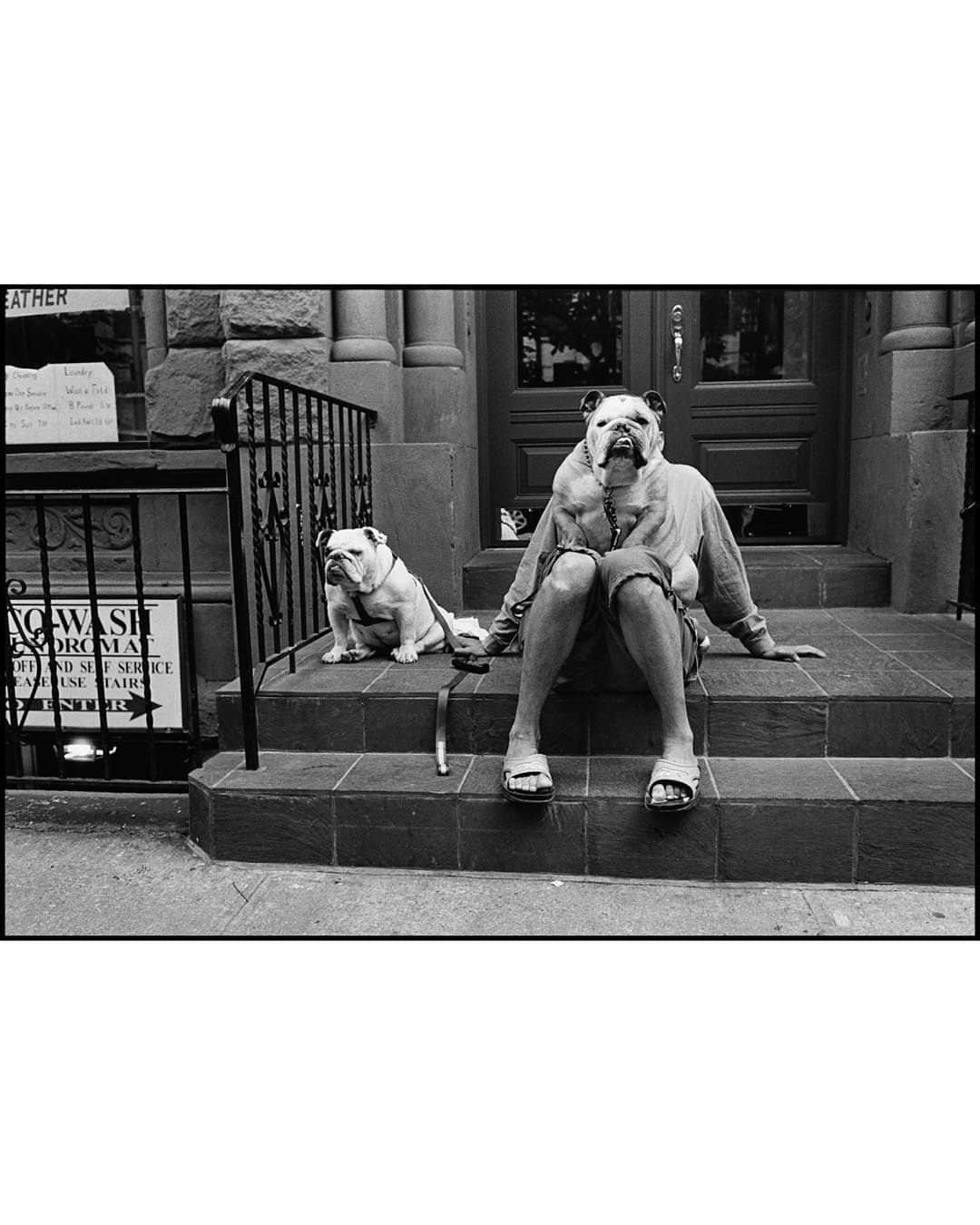 Magnum Photosさんのインスタグラム写真 - (Magnum PhotosInstagram)「Remembering @elliotterwitt (1928-2023), a remarkable photographer and long-time Magnum member whose lens beautifully captured the human experience.⁠ ⁠ Spanning over seven decades, Erwitt’s career leaves an indelible mark on the medium of photography, effortlessly blending the profound with a touch of humor.⁠ ⁠ Erwitt believed photography should speak to the senses and emotions: “When the photograph happens, it comes easily, as a gift that should not be questioned or analyzed.” He preferred not to intellectualize his profession, often stating simply that photography allowed him to pursue his interests while making a living.⁠ ⁠ Dogs held a special place in Erwitt’s heart, offering insights into humanity. In his 1998 book Dog Dogs, he noted, “I don’t know of any other animals closer to us in qualities of heart, sentiment and loyalty.”⁠ ⁠ Love and romance were recurring themes in Erwitt’s work, with iconic shots like a couple kissing in a car’s side mirror and Robert and Mary Frank dancing in a kitchen resonating across generations.⁠ ⁠ Throughout his career, Erwitt captured notable figures like Marilyn Monroe, Grace Kelly, Jack Kerouac, John F. Kennedy and Jackie Kennedy. He witnessed and documented pivotal moments in history, from the 1959 Kitchen Debate between Nikita Khrushchev and Richard Nixon to portraits of Fidel Castro and Che Guevara in 1964.⁠ ⁠ 🔗 We reflect on the life and work of the legendary Magnum image-maker at the link in the @magnumphotos bio.⁠ ⁠ PHOTOS (left to right):⁠ ⁠ (1) Provence, France. 1955.⁠ ⁠ (2) Marilyn Monroe. New York, USA. 1956. ⁠ ⁠ (3) New York, USA. 1974.⁠ ⁠ (4) Nikita Khrushchev and Richard Nixon. The Kitchen Debate. Moscow, USSR. 1959. ⁠ ⁠ (5) Eiffel tower 100th anniversary. Paris, France. 1989. ⁠ ⁠ (6) Berkeley, California, USA. 1956.⁠ ⁠ (7) Prado Museum. Madrid, Spain. 1995. ⁠ ⁠ (8) Che Guevara. Havana, Cuba. 1964. ⁠ ⁠ (9) New York City, USA. 2000.⁠ ⁠ (10) Valencia, Spain. 1952.⁠ ⁠ © @elliotterwitt / Magnum Photos」12月1日 21時45分 - magnumphotos