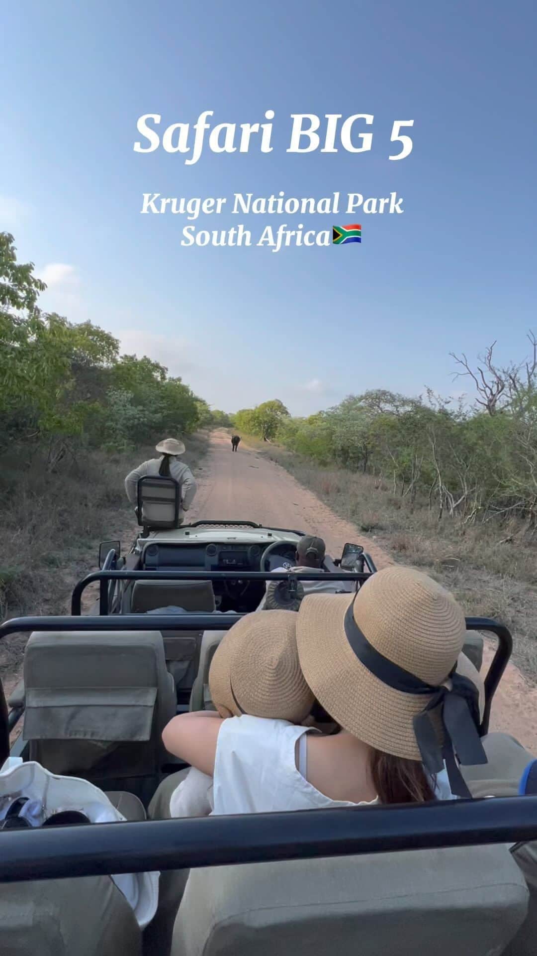 Remiのインスタグラム：「Hello wilds🦏🐆🐃🦓🦒🌳🇿🇦 南アフリカ、クルーガー国立公園でサファリ尽くしの滞在。 初日からBIg5を制覇して、沢山の野生動物たちと出会えました。  同じ地球上の生き物として、動物の本能と生きるパワーを感じ、何があっても生きているだけで素晴らしいことだと実感しました。  これから壁にぶつかったらこの動物たちとの出会いを思い出そうと思います。  BGMはアフリカクルーズで聴き続けた大好きな曲！🦁waka waka🎶  ———— 📍#KrugerNationalPark , #SouthAfrica🇿🇦 🐘 @kapamaprivategamereserve  👨‍👩‍👧‍👦 @hh.channel2023  🗓 2023.11.24-26  世界一周日記はアメブロ& @hh.channel2023 にて🎬  #クルーガー国立公園 #アフリカサファリ #サファリ旅 #子連れアフリカ #子連れ旅行 #子連れ世界一周 #世界一周中 #世界一周旅行 #krugerpark #SouthAfrica #🇿🇦#worldroundtrip #africansafari #safarilife #remi_world2023」