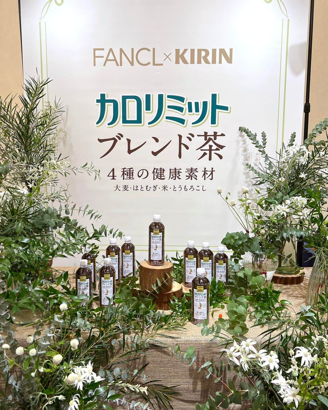 紫苑みやびのインスタグラム：「ESSEファンパーティ2023 に参加し、ファンケルの「キリン×ファンケル カロリミット ブレンド茶＜機能性表示食本＞」をお試しさせていただきました。  糖と脂肪の吸収を抑えるファンケルのサプリ「カロリミット」ってご存知の方も多いと思います。  こちら、カロリミットシリーズから新登場のお茶になります。  大麦、はとむぎ、米、とうもろこしの4種の健康素材を使った、飲みやすいお茶の形で食事中にカロリミットが摂取できるのはありがたいですね。  お茶の味はどんなお料理にも合いそうなすっきり軽やかな味わいです。 なお、からだにうれしいカフェインゼロですよ。  【届出表示】本品には難消化性デキストリン（食物繊維として）が含まれています。難消化性デキストリン（食物繊維として）には、食事から摂取した糖や脂肪の吸収を抑える機能があることが報告されています。  ●本品は、特定特定保健用食品と異なり、消費者庁長官による個別審査を受けたものではありません。 ●食生活は、主食、主菜、副菜を基本に、食事のバランスを。 ●疾病の診断、治療、予防を目的としたものではありません。  #PR #ファンケル #カロリミットブレンド茶 #ESSE #ESSEファンパーティ2023 #ダイエット補助 #カロリミット #キリン」