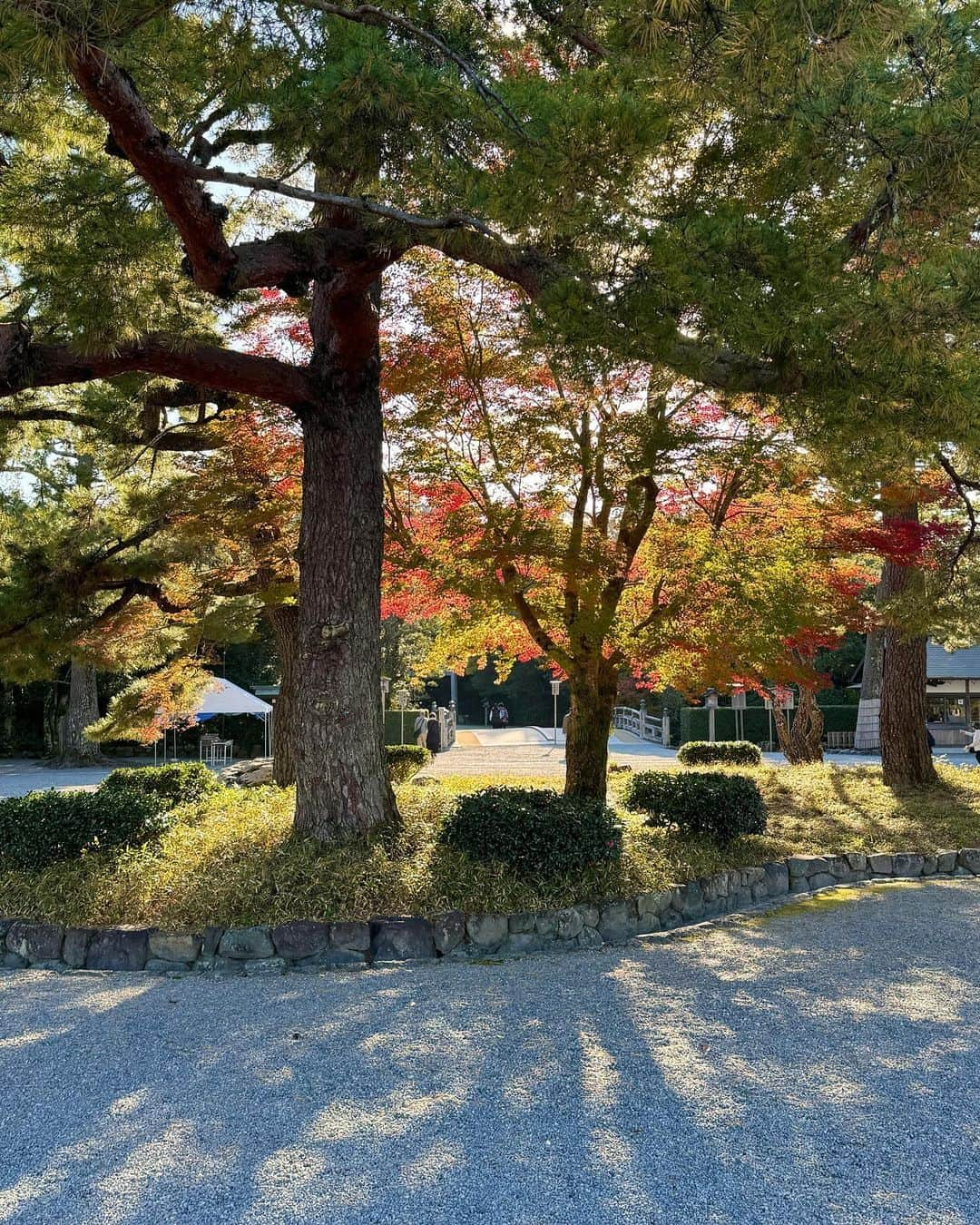 尾崎ななみさんのインスタグラム写真 - (尾崎ななみInstagram)「#三重県　#伊勢  📍伊勢神宮#外宮  @isejingu.official   外宮の中もすっかり秋。 見慣れた景色も、四季で全然違うので楽しい☺️  入口にある真っ赤な紅葉が、特に圧巻。 光の入り方で、写真に映る色が若干違う事も発見🍁  ㅤㅤㅤㅤㅤㅤㅤㅤㅤㅤㅤㅤㅤㅤㅤㅤㅤㅤㅤㅤㅤㅤㅤㅤㅤㅤㅤㅤㅤㅤㅤㅤㅤㅤㅤㅤㅤㅤㅤㅤ ㅤㅤㅤㅤㅤㅤㅤㅤㅤㅤㅤ  ㅤㅤㅤㅤㅤㅤㅤㅤㅤㅤㅤ  #三重県#伊勢志摩#伊勢#伊勢神宮#参拝#お伊勢参り#紅葉#尾崎ななみ#伊勢志摩アンバサダー」12月1日 22時18分 - nanami_ozaki_73