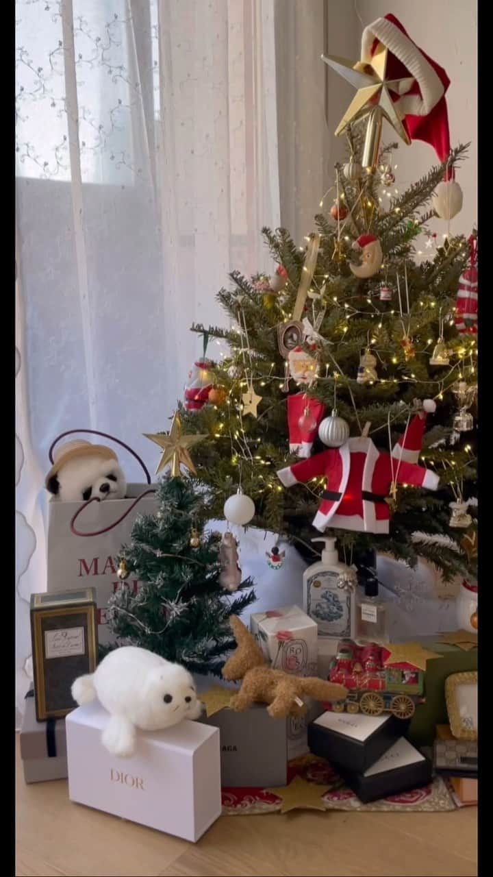 藤田かんなのインスタグラム：「🎅🏻  今日から12月ということで ツリーを早く飾らないとなのに、、、 モミの木は既に買ってあるんですがバタバタでまだ飾れていません😭💦  ということで去年のツリー🎄⭐️ 生のモミの木だったんですが切り株で葉が落ちてきたりしたので、今年は鉢植えにしました🪴  早く飾り付けしないと😭  #christmas  #christmastree  #クリスマス」