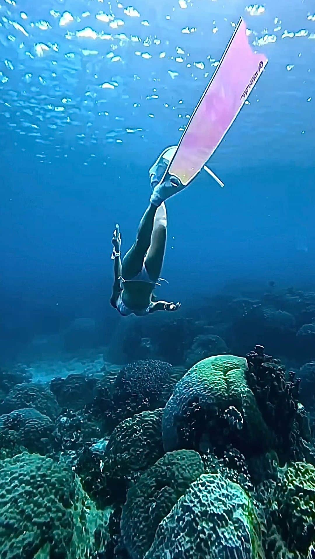 山崎みどりのインスタグラム：「skin diving🧜🏽‍♀️🧜🏽‍♀️🧜🏽‍♀️🧜🏽‍♀️ 🏝️宮古島　 Miyako island  珊瑚もりもり♥️ 🪸🪸🪸🪸🪸🪸🐟  Movie by @insta_haam  　 ──────────────────────────  #🪸#divinglife #divingphoto #divingtrip#無人島#海遊び#スキンダイビング#skindiving #longfin #skindiver #宮古島 #ビキニ #ブラジリアンビキニ #bikini #水着　#ビキニ女子 #sealovers #水着女子」