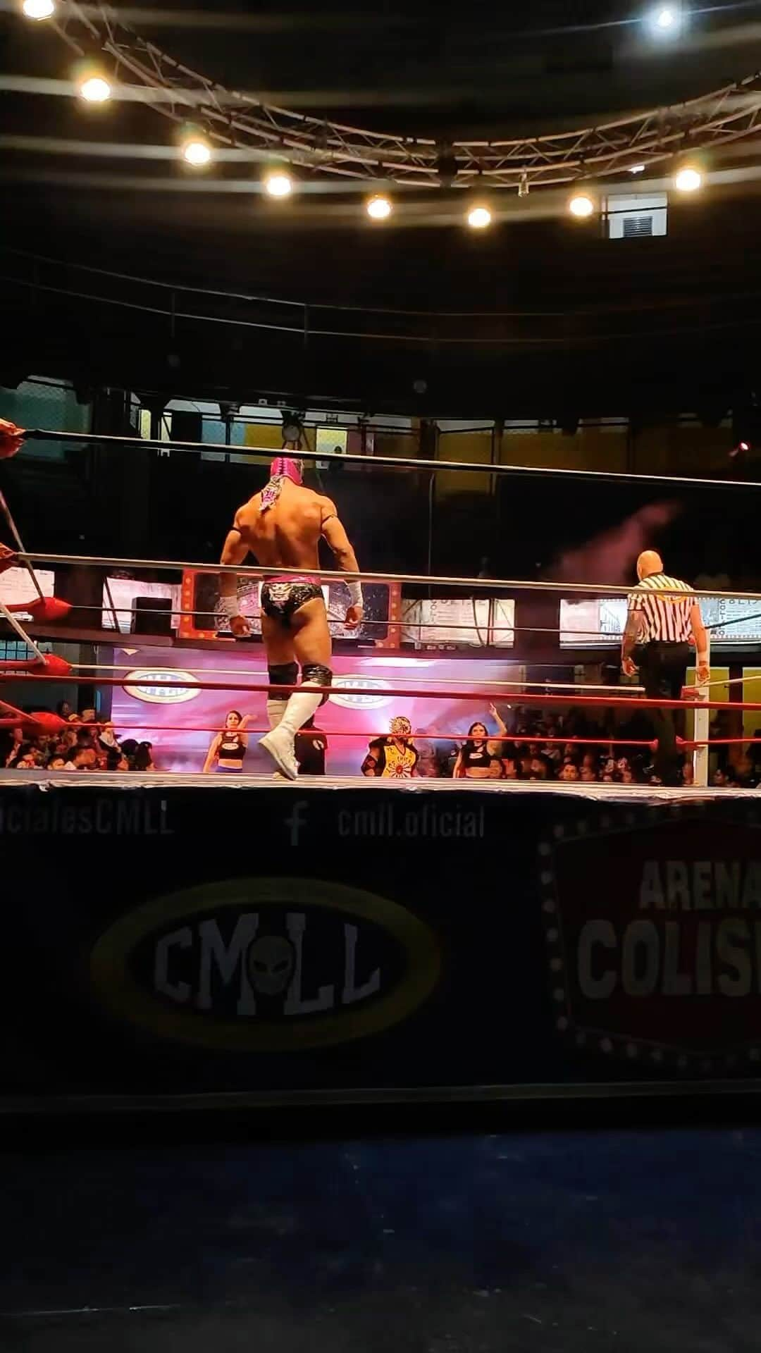 奥村茂雄のインスタグラム：「Sábado 25 de noviembre en la Arena Coliseo. - - #cmll #arenacoliseo #loschacalesdelring @polvoracmll #okumura #tifondeosaka #guerrerosamurai @dannyluchas」