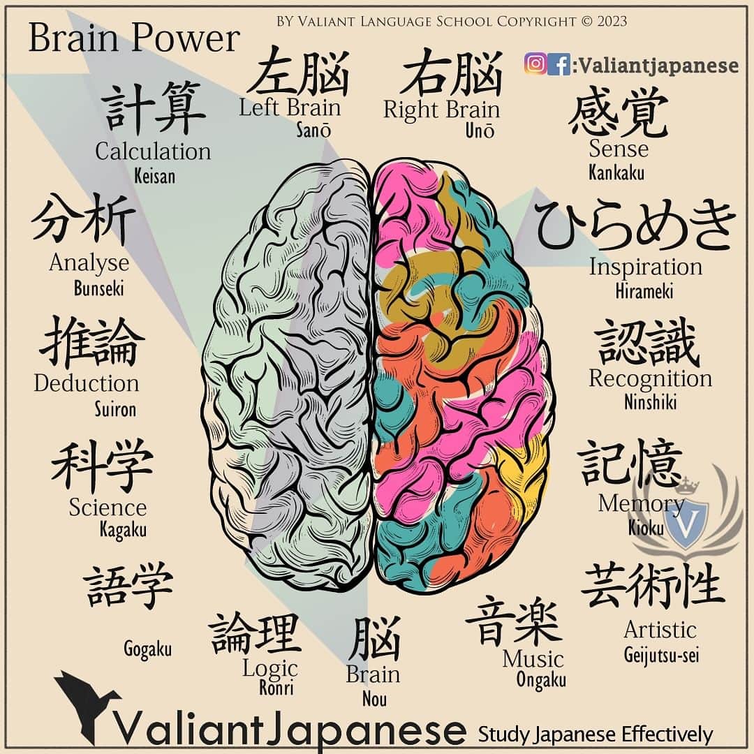 Valiant Language Schoolのインスタグラム：「👩‍🏫Start Learning Japanese 📖 Brain Power 🧠 . . . . . . . . .  . #japaneselanguage  #sushilovers  #nihongojapanese  #日本語  #hiragana  #katakana  #foodporn  #일본어  #studyjapanese   #japaneseramen   #Jepang #japanesefood  #noodles #ramen  #ramennoodles  #giappone  #picoftheday  #4chan  #感情」