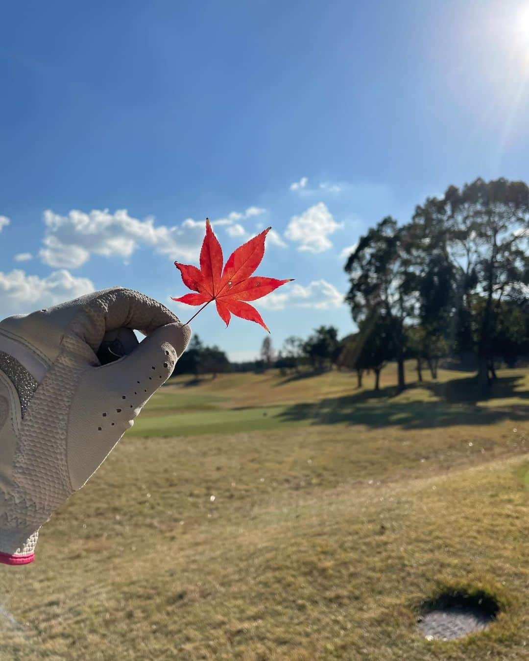 あおい夏海さんのインスタグラム写真 - (あおい夏海Instagram)「秋晴れゴルフ☀️ 調子は悪かったけど 楽しかった👍✨ @douxavenir_golf のベストとスカート軽くて暖かいー❤️   #ゴルフコーデ #冬コーデ #ゴルフファッション #あおい夏海 #スポーツ女子  #ゴルフウェア  #ゴルフ女子コーデ  #ゴルフスイング  #浜野ゴルフクラブ  #白コーデ #ゴルフ場  #ゴルフ動画 #ゴルフスイング動画」12月1日 19時25分 - natsumi.aoi