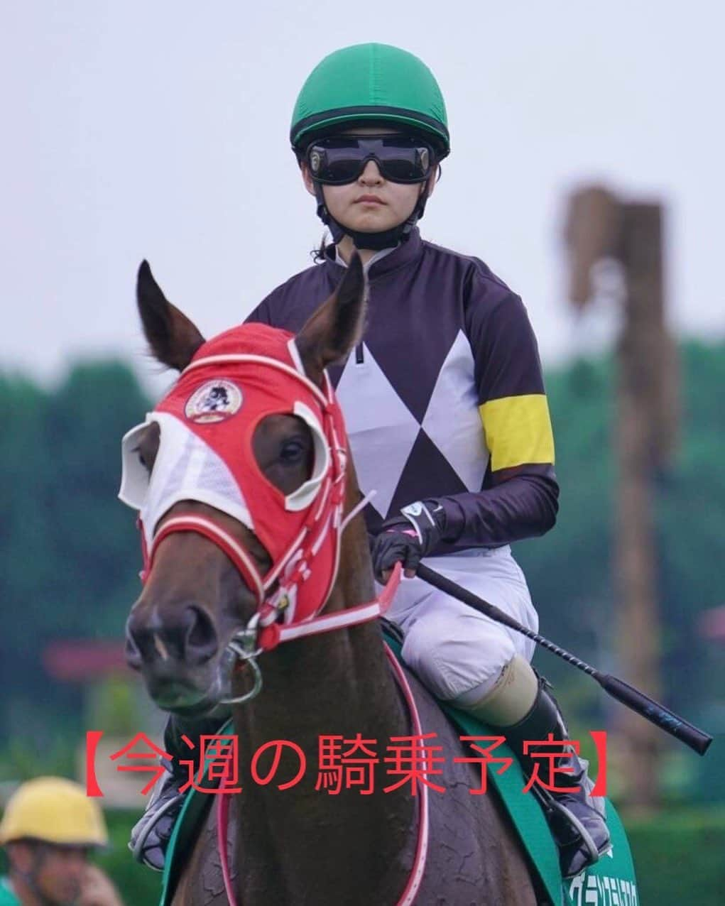 古川奈穂のインスタグラム：「【騎乗予定】 《12月2日土曜日中京競馬場7鞍》 3R アスクドンキバック 4R ヨツヤカイダン 5R テーオーノワール 6R フェイト 7R ジョータルマエ 8R レゾルシオン 12R シュハリ  《12月3日日曜日中山競馬場4鞍》 1R レフトフィールダー 2R ミドリタツ 4R ボエーム 12R リーゼントミニー  【騎乗結果】 《11月29日火曜日金沢競馬場3鞍》 8R メアリー 4着 9R ジェイケイヒロイン 6着 11R マイネルヘリテージ 2着🥈  《11月25日土曜日京都競馬場3鞍》 1R キムケンハッピー　16着 8R モズアカボス　12着 12R マメコ　1着🥇  《11月26日日曜日京都競馬場3鞍》 2R ココシャンパーニュ　7着 4R アウローラルミエル　6着 7R アスクビックスター　10着  皆様、日々ご声援頂きありがとうございます。 今後とも応援のほど、よろしくお願いします！  #騎乗結果  #騎乗予定  #スタッフ投稿  #古川奈穂  #jra  #騎手  #ジョッキー  #jockey  #競馬  #horseracing  #馬が好き #馬好きさんと繋がりたい  #馬好きな人と繋がりたい  #馬  #horse  #12月  #一走入魂  #2023年 #中京 #中京競馬  #中京競馬場 #中山  #中山競馬  #中山競馬場  #今年もあと1ヶ月 #最後まで諦めない  #やりきる」