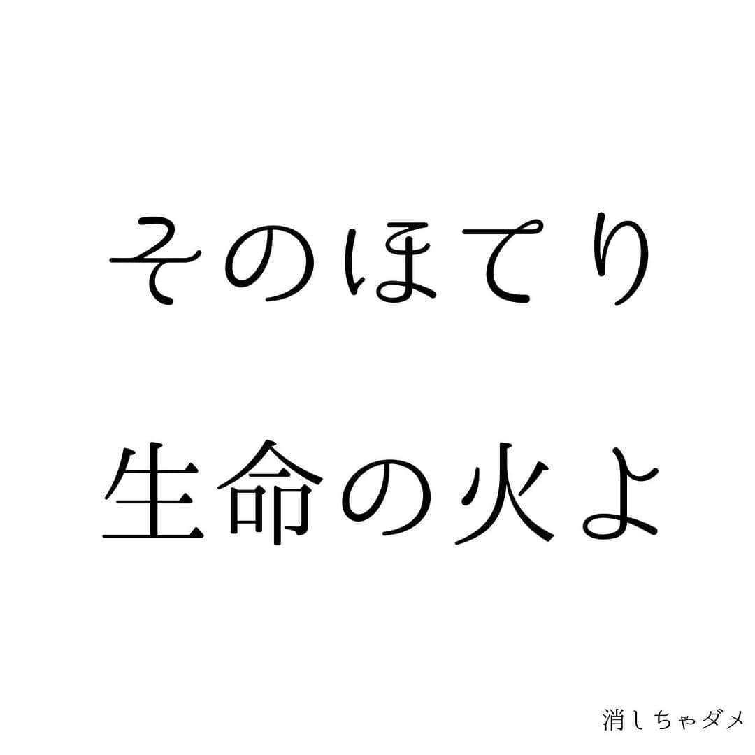 堀ママさんのインスタグラム写真 - (堀ママInstagram)「寒くなって 冷やされてるはずなのに ほてりの症状がひどくなる人 意外と多いのよね  これって下半身の冷えが原因なの 漢方では下半身の腎の位置に 生命の火があるんだけど その火は下半身が冷えると 居心地が悪くなって 上へ上へと昇っていくのよ  そのせいで 上半身が熱くなるの  更年期のホットフラッシュに限らず 下半身は冷えて 上半身が熱くなる 【冷えのぼせ】って意外と多いわ  いわゆる初期老化の症状でもあって 生命の火が削られて 若さの消耗にもつながる ケースもあるのよねー  しっかり下半身を温めて 上の方にさまよいでた生命の火を 下に呼び戻してちょうだいね  冷えのぼせの症状改善 =アンチエイジングよ うふふ  #冷えのぼせ #冷え性 #冷え #のぼせ #ホットフラッシュ #老化 #更年期 #漢方 #薬膳   #大丈夫」12月1日 14時59分 - hori_mama_