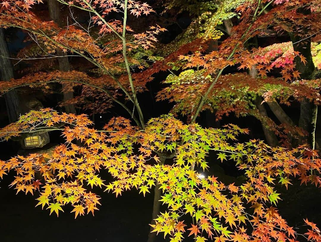 キャシー・リードさんのインスタグラム写真 - (キャシー・リードInstagram)「Eikan-dō Temple 禅林寺 (永観堂) 🍁」12月1日 15時12分 - cmr2070