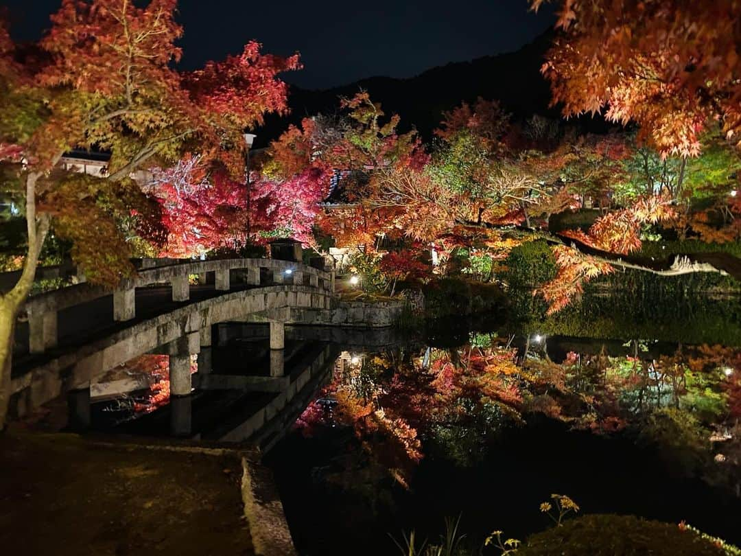 キャシー・リードのインスタグラム：「Eikan-dō Temple 禅林寺 (永観堂) 🍁」