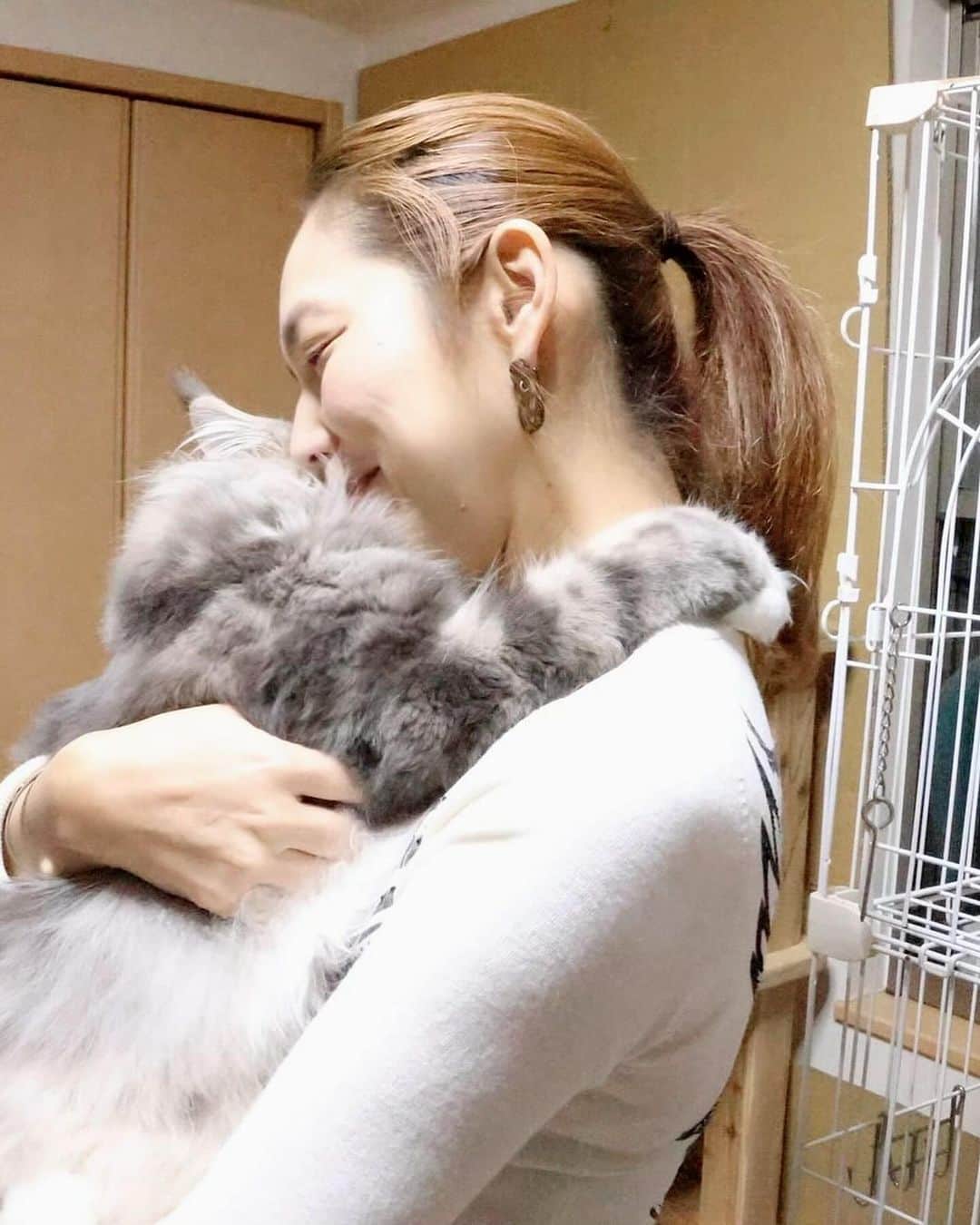 翠千賀さんのインスタグラム写真 - (翠千賀Instagram)「この子との浮気がバレないように、帰宅したらすぐにシャワー浴びることになったのにー。 浮気ってバレるから、みなさん、お気をつけて。  #浮気　#猫　#やきもち　#多頭飼い　#抱きつき猫」12月1日 15時48分 - chika.midori