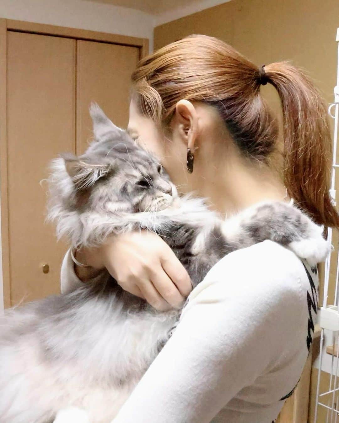 翠千賀さんのインスタグラム写真 - (翠千賀Instagram)「この子との浮気がバレないように、帰宅したらすぐにシャワー浴びることになったのにー。 浮気ってバレるから、みなさん、お気をつけて。  #浮気　#猫　#やきもち　#多頭飼い　#抱きつき猫」12月1日 15時48分 - chika.midori