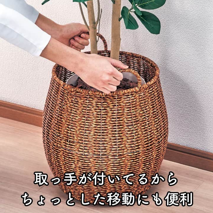 BELLEMAISON_LIFESTYLE(ベルメゾン) さんのインスタグラム写真 - (BELLEMAISON_LIFESTYLE(ベルメゾン) Instagram)「おうちにある観葉植物🌿 掃除のたびに動かすのが大変で困っている方もいるのでは？👀  コチラの鉢カバーを使えばその悩み解消 重い植木鉢もスイスイ移動できるんです👍  キャスターが裏にういているからスイスイ～ 掃除や模様替え、植物の日光浴の際もラクラク移動できちゃいます👏🏻  樹脂製だから洗えるのも嬉しいポイント でも見た目にもちゃんとこだわっているのでインテリアとも馴染みます🌿  ￣￣￣￣￣￣￣￣￣￣￣ ▼ご紹介した商品はコチラ  ✅キャスター付きで動かしやすい　洗えるラタン調の鉢カバー ※詳しい情報はショッピングタグからご確認ください   ￣￣￣￣￣￣￣￣￣￣￣ #ベルメゾン #Bellemaison  #ベルメゾンライフスタイル  #ベルメゾンインテリア #暮らし磨き #インテリア #interior #暮らしを楽しむ #丁寧な暮らし #日々の暮らし #鉢カバー #観葉植物 #インテリア #植物のある暮らし #グリーン #インテリア雑貨 #観葉植物のある暮らし #グリーンのある生活 #観葉植物インテリア #植木鉢カバー」12月1日 16時00分 - bellemaison_lifestyling