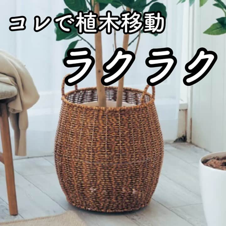 BELLEMAISON_LIFESTYLE(ベルメゾン) のインスタグラム：「おうちにある観葉植物🌿 掃除のたびに動かすのが大変で困っている方もいるのでは？👀  コチラの鉢カバーを使えばその悩み解消 重い植木鉢もスイスイ移動できるんです👍  キャスターが裏にういているからスイスイ～ 掃除や模様替え、植物の日光浴の際もラクラク移動できちゃいます👏🏻  樹脂製だから洗えるのも嬉しいポイント でも見た目にもちゃんとこだわっているのでインテリアとも馴染みます🌿  ￣￣￣￣￣￣￣￣￣￣￣ ▼ご紹介した商品はコチラ  ✅キャスター付きで動かしやすい　洗えるラタン調の鉢カバー ※詳しい情報はショッピングタグからご確認ください   ￣￣￣￣￣￣￣￣￣￣￣ #ベルメゾン #Bellemaison  #ベルメゾンライフスタイル  #ベルメゾンインテリア #暮らし磨き #インテリア #interior #暮らしを楽しむ #丁寧な暮らし #日々の暮らし #鉢カバー #観葉植物 #インテリア #植物のある暮らし #グリーン #インテリア雑貨 #観葉植物のある暮らし #グリーンのある生活 #観葉植物インテリア #植木鉢カバー」