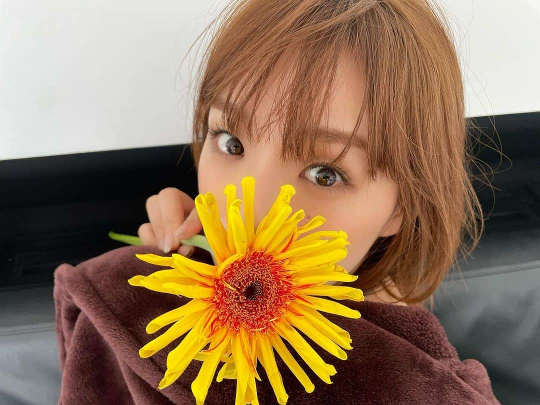 篠崎愛さんのインスタグラム写真 - (篠崎愛Instagram)「今年も残り1ヶ月🌼」12月1日 16時13分 - shinopp._.ai