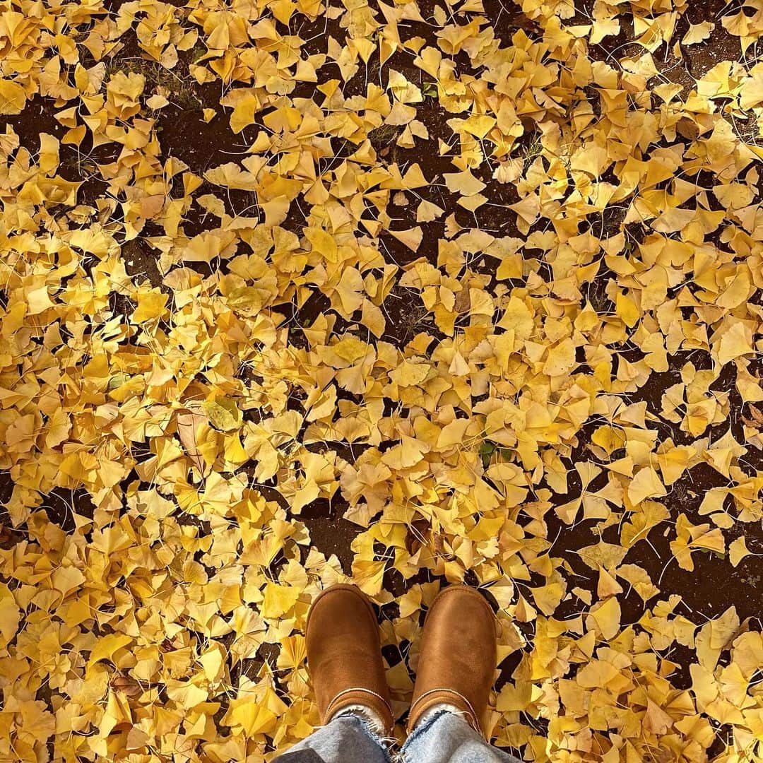 門脇更紗のインスタグラム：「🍁」