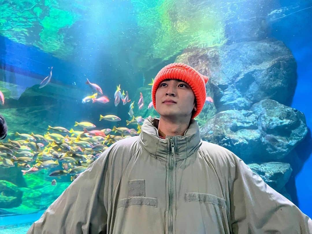 山口葵さんのインスタグラム写真 - (山口葵Instagram)「水族館なんぞいつぶりか🐬」12月1日 16時50分 - _yamaguchi_aoi_