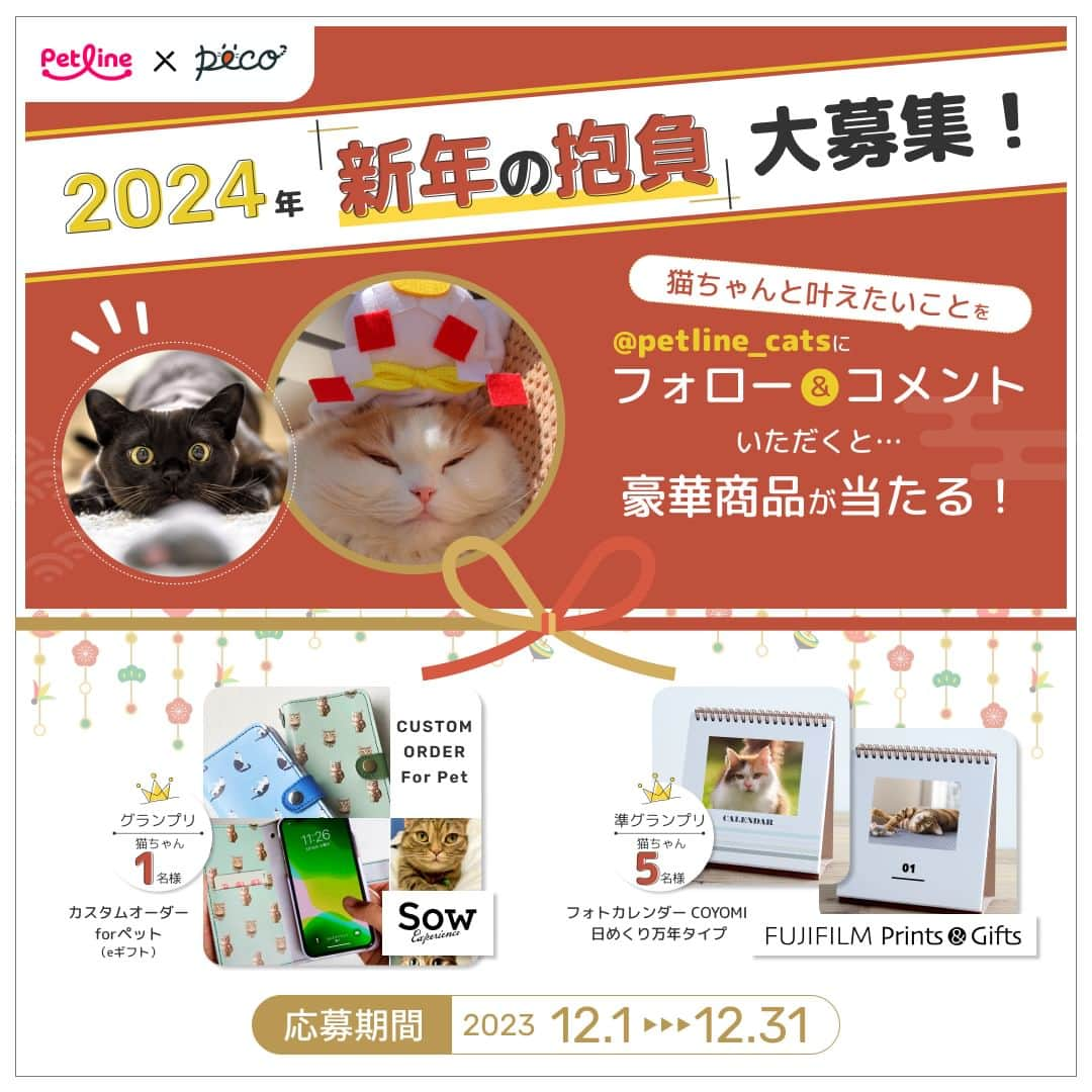 PECOねこ部さんのインスタグラム写真 - (PECOねこ部Instagram)「【フォロー＆コメントで豪華賞品が当たる❗️】2024「新年の抱負」を大募集🎍❗️ . ペットライン公式Instagram @petline_cats と @petline_dogs にて、猫ちゃん・わんちゃんと叶えたい🙏2024年「新年の抱負」を大募集いたします✨ ペットラインの公式Instagramのフォロー＆ペットラインの公式Instagramのキャンペーン投稿に「新年の抱負」🎍をコメントして豪華賞品を当てよう🎁 . ＜キャンペーン概要＞ ■応募期間 2023年12月1日（金）〜12月31日（日） . ■応募方法は簡単❗️ ①ペットライン公式Instagram @petline_cats をフォロー ②ペットラインの公式Instagramのキャンペーン投稿に、猫ちゃん🐈と叶えたい「新年の抱負」をコメント💬 （⚠️本アカウント（pecocats）のフォロー、本投稿にコメントではないので、間違えないようお気をつけください💡） . ■賞品 グランプリ 　⭐️SOW EXPERIENCE「カスタムオーダー for ペット（eギフト）」😺1名様⭐️ . お気に入りの猫ちゃんの写真を使って、かわいいドット柄のオリジナルアイテムが作れるギフト🐕 牛革がま口ポーチ／スマホケース／クッション／牛革ブックカバー／牛革キーケース／エプロン／キッチンミトンの中からお好きなアイテムを１つお選びいただけます❗️また下地のお色も選ぶことができます❗️ . ※ご当選者の方にはeギフトのURLをお送りいたしますので、ご自身でお好みのアイテムをご注文ください . 準グランプリ 　⭐️FUJIFILIM Prints&Gifts「フォトカレンダー COYOMI 日めくり万年タイプ」😺5名様⭐️ . おしゃれなスクエア型のリング製本タイプ🗓️月表示のない31枚の日替わりタイプで、毎日ちがう猫ちゃんの写真が１年中楽しめます🖼️写真はキレイで高画質な銀塩写真仕上げ✨ . ※ご当選者の方にはクーポンコードをお送りいたしますので、ご自身でご注文ください . ■プレゼント当選について 当選者の方のみに、PECO公式Instagramアカウント「 @pecocats 」または「 @pecodogs 」からダイレクトメッセージにてご連絡いたします。あらかじめ、受信設定のご確認をお願いいたします。 . ■応募規約については、こちらをチェック🔍 https://peco-japan.com/89052 たくさんのご応募、お待ちしております🐾 . 💡わんちゃんと叶えたい「新年の抱負」も募集中❣️詳しくは @petline_dogs をチェックしてくださいね👀 . [PR:ペットライン株式会社］ . #ペットラインねこ部 #ペットライン #新年の抱負 #キャンペーン #PECO」12月1日 17時00分 - pecocats