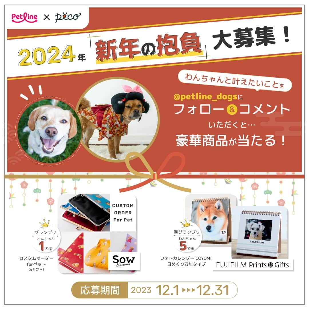 PECO いぬ部のインスタグラム：「【フォロー＆コメントで豪華賞品が当たる❗️】2024年「新年の抱負」を大募集🎍❗️ . ペットライン公式Instagram @petline_dogs と @petline_cats にて、わんちゃん・猫ちゃんと叶えたい🙏2024年「新年の抱負」を大募集いたします✨ ペットラインの公式Instagramのフォロー＆ペットラインの公式Instagramのキャンペーン投稿に「新年の抱負」🎍をコメントして豪華賞品を当てよう🎁 . ＜キャンペーン概要＞ ■応募期間 2023年12月1日（金）〜12月31日（日） . ■応募方法は簡単❗️ ①ペットライン公式Instagram @petline_dogs をフォロー ②ペットラインの公式Instagramのキャンペーン投稿に、わんちゃん🐕と叶えたい「新年の抱負」をコメント💬 （⚠️本アカウント（pecodogs）のフォロー、本投稿にコメントではないので、間違えないようお気をつけください💡） . ■賞品 グランプリ 　⭐️SOW EXPERIENCE「カスタムオーダー for ペット（eギフト）」🐶1名様⭐️ . お気に入りのわんちゃんの写真を使って、かわいいドット柄のオリジナルアイテムが作れるギフト🐕 牛革がま口ポーチ／スマホケース／クッション／牛革ブックカバー／牛革キーケース／エプロン／キッチンミトンの中からお好きなアイテムを１つお選びいただけます❗️また下地のお色も選ぶことができます❗️ . ※ご当選者の方にはeギフトのURLをお送りいたしますので、ご自身でお好みのアイテムをご注文ください . 準グランプリ 　⭐️FUJIFILIM Prints&Gifts「フォトカレンダー COYOMI 日めくり万年タイプ」🐶5名様⭐️ . おしゃれなスクエア型のリング製本タイプ🗓️月表示のない31枚の日替わりタイプで、毎日ちがうわんちゃんの写真が１年中楽しめます🖼️写真はキレイで高画質な銀塩写真仕上げ✨ . ※ご当選者の方にはクーポンコードをお送りいたしますので、ご自身でご注文ください . ■プレゼント当選について 当選者の方のみに、PECO公式Instagramアカウント「 @pecodogs 」または「 @pecocats 」からダイレクトメッセージにてご連絡いたします。あらかじめ、受信設定のご確認をお願いいたします。 . ■応募規約については、こちらをチェック🔍 https://peco-japan.com/89052 たくさんのご応募、お待ちしております🐾 . 💡猫ちゃんと叶えたい「新年の抱負」も募集中❣️詳しくは @petline_cats をチェックしてくださいね👀  [PR:ペットライン株式会社］  #ペットラインいぬ部 #ペットライン #新年の抱負 #キャンペーン #PECO」