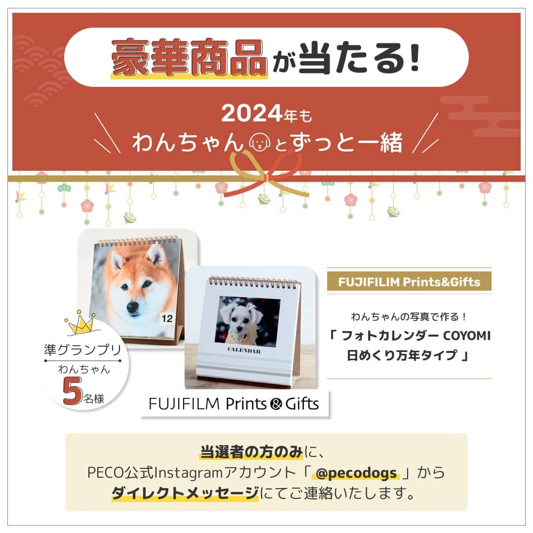 PECO いぬ部さんのインスタグラム写真 - (PECO いぬ部Instagram)「【フォロー＆コメントで豪華賞品が当たる❗️】2024年「新年の抱負」を大募集🎍❗️ . ペットライン公式Instagram @petline_dogs と @petline_cats にて、わんちゃん・猫ちゃんと叶えたい🙏2024年「新年の抱負」を大募集いたします✨ ペットラインの公式Instagramのフォロー＆ペットラインの公式Instagramのキャンペーン投稿に「新年の抱負」🎍をコメントして豪華賞品を当てよう🎁 . ＜キャンペーン概要＞ ■応募期間 2023年12月1日（金）〜12月31日（日） . ■応募方法は簡単❗️ ①ペットライン公式Instagram @petline_dogs をフォロー ②ペットラインの公式Instagramのキャンペーン投稿に、わんちゃん🐕と叶えたい「新年の抱負」をコメント💬 （⚠️本アカウント（pecodogs）のフォロー、本投稿にコメントではないので、間違えないようお気をつけください💡） . ■賞品 グランプリ 　⭐️SOW EXPERIENCE「カスタムオーダー for ペット（eギフト）」🐶1名様⭐️ . お気に入りのわんちゃんの写真を使って、かわいいドット柄のオリジナルアイテムが作れるギフト🐕 牛革がま口ポーチ／スマホケース／クッション／牛革ブックカバー／牛革キーケース／エプロン／キッチンミトンの中からお好きなアイテムを１つお選びいただけます❗️また下地のお色も選ぶことができます❗️ . ※ご当選者の方にはeギフトのURLをお送りいたしますので、ご自身でお好みのアイテムをご注文ください . 準グランプリ 　⭐️FUJIFILIM Prints&Gifts「フォトカレンダー COYOMI 日めくり万年タイプ」🐶5名様⭐️ . おしゃれなスクエア型のリング製本タイプ🗓️月表示のない31枚の日替わりタイプで、毎日ちがうわんちゃんの写真が１年中楽しめます🖼️写真はキレイで高画質な銀塩写真仕上げ✨ . ※ご当選者の方にはクーポンコードをお送りいたしますので、ご自身でご注文ください . ■プレゼント当選について 当選者の方のみに、PECO公式Instagramアカウント「 @pecodogs 」または「 @pecocats 」からダイレクトメッセージにてご連絡いたします。あらかじめ、受信設定のご確認をお願いいたします。 . ■応募規約については、こちらをチェック🔍 https://peco-japan.com/89052 たくさんのご応募、お待ちしております🐾 . 💡猫ちゃんと叶えたい「新年の抱負」も募集中❣️詳しくは @petline_cats をチェックしてくださいね👀  [PR:ペットライン株式会社］  #ペットラインいぬ部 #ペットライン #新年の抱負 #キャンペーン #PECO」12月1日 17時00分 - pecodogs