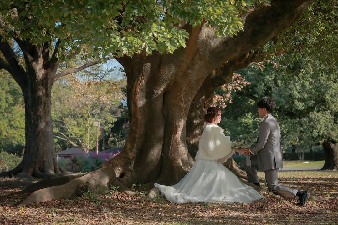 スタジオエイト 名古屋さんのインスタグラム写真 - (スタジオエイト 名古屋Instagram)「【庄内緑地公園ロケーション🌱】  庄内緑地公園の緑が光にあたりキラキラでその中にいるおふたりがとっても素敵でした☺️💓  新婦様が新郎様に寄り添いぎゅっとしているお写真がとっても可愛かったです🤭🧡 ……………………………………………………………………  Photo : @yagasaki.deco.ph   ㅤㅤㅤㅤㅤㅤㅤmake: @nishimura.deco.hm  ……………………………………………………………………  photographer @t.oguri.deco.ph @s.mochizuki.deco.ph @n.kaoru.deco.ph @a.fujiwara.deco.ph @yagasaki.deco.ph ︎●sato kenta → HPgallery ●kimura mio → HP gallery ●kondo reina → HP gallery ●makino marimo → HP gallery ●matsuhibi shusuke → HP gallery  hair&makeup @mitani.deco.hm @nanami.deco.hm @miharu.deco.hm @koide.deco.hm @nishimura.deco.hm @matsuyama.deco.hm @yukioka.deco.hm  ●kanamori kureha → HP gallery ●sato ayumi → HP gallery ●ishikawa haruka → HP gallery ●fuki ayano → HP gallery  私たちと一緒に働きませんか？ フォトグラファー、ヘアメイク、 フォトプランナーを募集中です★ @decollte_recruit  #デコルテフォト#撮る結婚式 #weddingphoto #weddinghair  #hairarrange #marry花嫁 #ヘアメイク #ウェディングフォト #ロケーションフォト #前撮り  #ドレスレポ #シニヨン  #ウェディングドレス #カラードレス　 #ヘアアレンジ #和装シニヨン  #スタジオエイト #2023夏婚 #2023秋婚  #ウェディングヘア #前撮りレポ #結婚式  #ドレス #前撮りヘア #プレ花嫁 #ヘアメイク #花嫁ヘア #洋装ヘアメイク #ハーフアップ」12月1日 17時06分 - studio8_nagoya.sakae