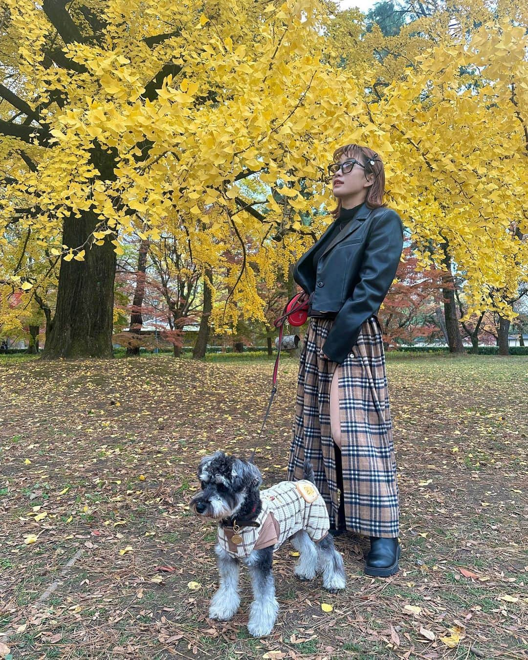 HANAさんのインスタグラム写真 - (HANAInstagram)「December 🍁✨」12月1日 22時38分 - banghana