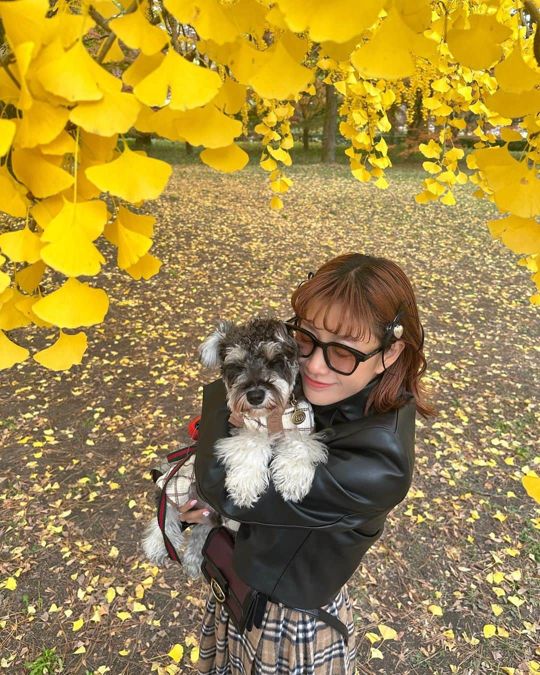 HANAさんのインスタグラム写真 - (HANAInstagram)「December 🍁✨」12月1日 22時38分 - banghana