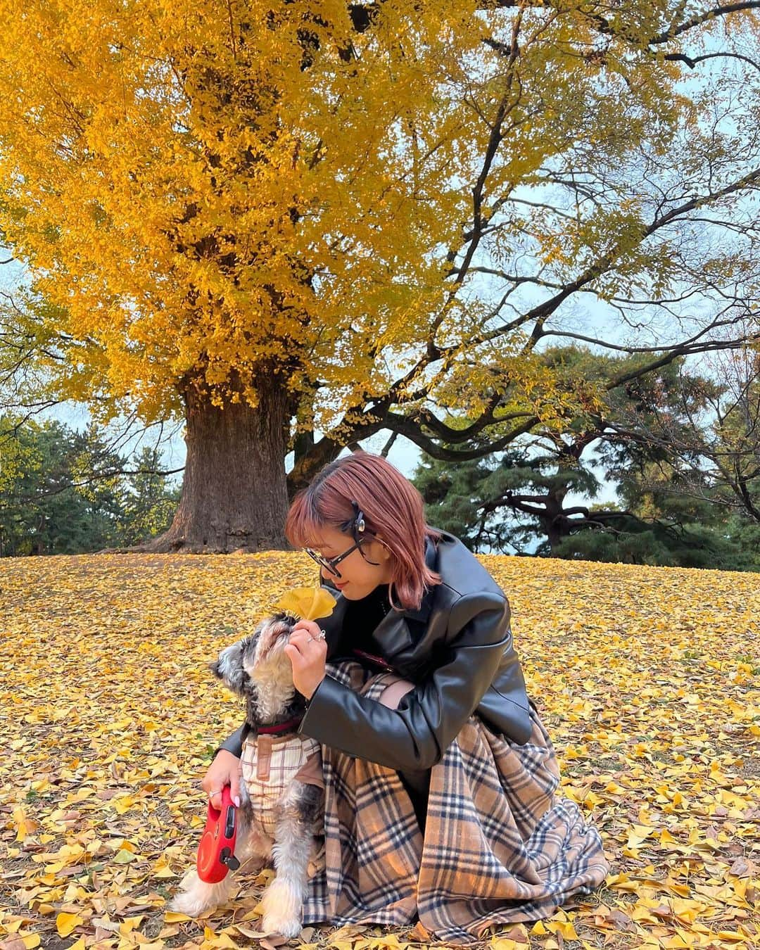 HANAのインスタグラム：「December 🍁✨」