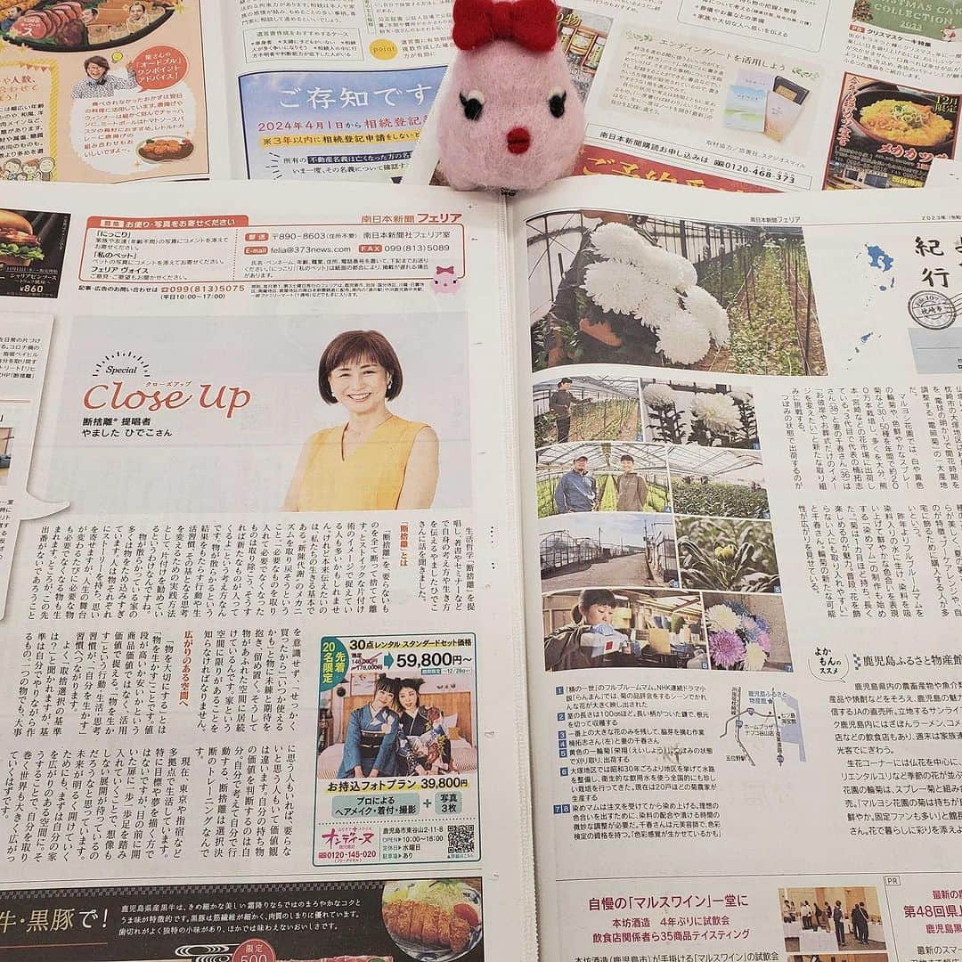 南日本新聞フェリアさんのインスタグラム写真 - (南日本新聞フェリアInstagram)「＼＼南日本新聞フェリア12月2日発行号（Vol.582）／／ ただいま配布中～  巻頭特集は #終活 ～‼️ 何から始めたら良いか分からない終活の情報を、 不動産相続・葬式⚰️・遺影・お墓🪦家系図作成まで 幅広く紹介していますわ‼️ これを読めば「終活」について一通り知ることができる そんな特集に仕上げましたの💕  鹿児島よかもん紀行は #輪菊🌼 仏壇に飾る〝だけじゃない〟生産者👩‍🌾🧑‍🌾👨‍🌾の取り組みを紹介しますわ✨ クローズアップは #断捨離 の提唱者・やましたひでこさんをインタビュー🎤 このほか毎年大好評 #ケーキ プレゼントつきの #クリスマスケーキ 特集など🎂🍰🧁 私がオススメするグルメがた～くさん載っていましてよ ぜひご覧くださいませ❤️❤️❤️  #鹿児島おでかけ #鹿児島グルメ #ふーちゃん #ぬい撮り #南日本新聞 #フェリア #鹿児島 #勝手に鹿児島大使 #kagoshima #felia」12月1日 17時15分 - felia_insta