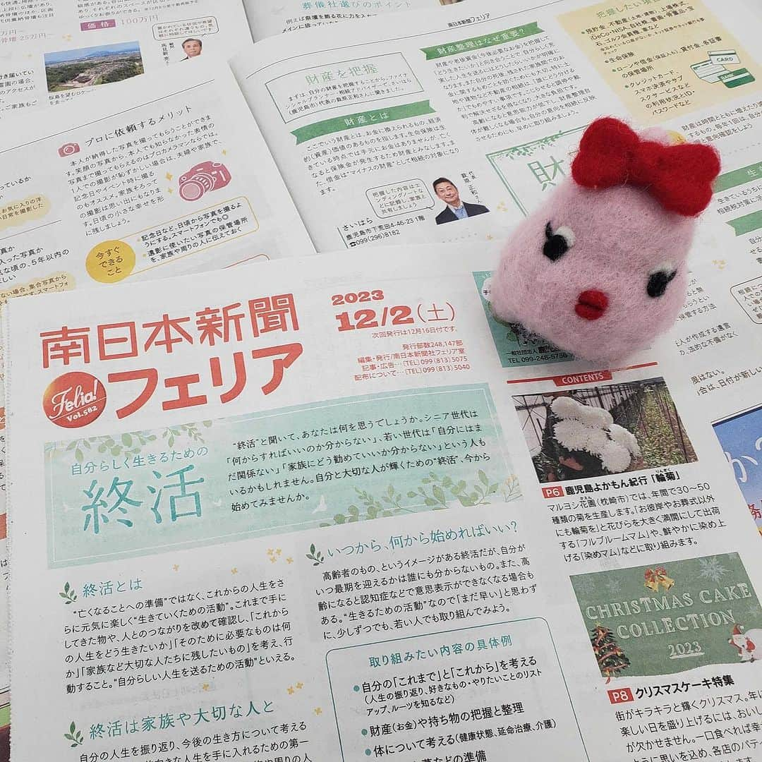 南日本新聞フェリアさんのインスタグラム写真 - (南日本新聞フェリアInstagram)「＼＼南日本新聞フェリア12月2日発行号（Vol.582）／／ ただいま配布中～  巻頭特集は #終活 ～‼️ 何から始めたら良いか分からない終活の情報を、 不動産相続・葬式⚰️・遺影・お墓🪦家系図作成まで 幅広く紹介していますわ‼️ これを読めば「終活」について一通り知ることができる そんな特集に仕上げましたの💕  鹿児島よかもん紀行は #輪菊🌼 仏壇に飾る〝だけじゃない〟生産者👩‍🌾🧑‍🌾👨‍🌾の取り組みを紹介しますわ✨ クローズアップは #断捨離 の提唱者・やましたひでこさんをインタビュー🎤 このほか毎年大好評 #ケーキ プレゼントつきの #クリスマスケーキ 特集など🎂🍰🧁 私がオススメするグルメがた～くさん載っていましてよ ぜひご覧くださいませ❤️❤️❤️  #鹿児島おでかけ #鹿児島グルメ #ふーちゃん #ぬい撮り #南日本新聞 #フェリア #鹿児島 #勝手に鹿児島大使 #kagoshima #felia」12月1日 17時15分 - felia_insta