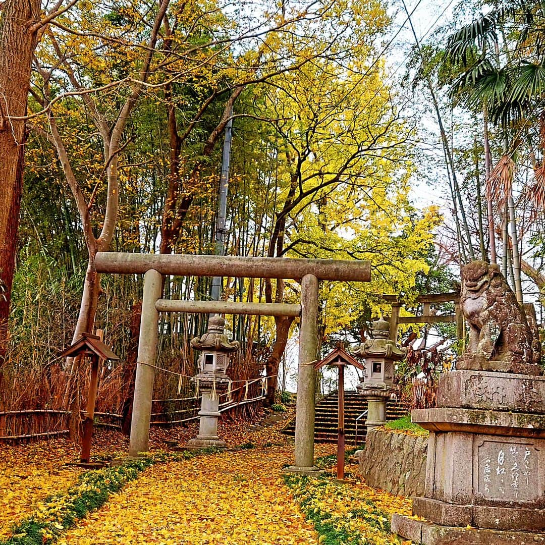 伊勢みずほさんのインスタグラム写真 - (伊勢みずほInstagram)「新潟市北区の岡方中学校💐  全校生徒の前で、将来の夢を発表したり、質疑応答で手を挙げてくれた皆さん、その勇気と心意気に拍手を送ります👏👏👏ありがとうございました！みんなの夢がみんなを幸せにしてくれますように🍀  最後に『お礼の言葉』を花束とともに伝えてくれた生徒会の男の子も、一所懸命さと誠実さが伝わってきて感動したよー！🥹ありがとうございました！  そして私の話を聴いてくれた全校生徒の皆さん、保護者の皆さん、先生方、 本当にありがとうございました。  少人数であることが強みになっている学校なのかもしれません。 校長先生が熱心に外部の様々な人を学校に呼び、生徒との交流の機会を作っていらっしゃって、素敵だなぁと感じました✨  そして校長先生！ ハッピバースデー🤩✨✨✨  #新潟市 #岡方中学校 #伊勢みずほ #フリーアナウンサー #貼るカイロ　 #話すことは放すこと #ありがとうございました💐」12月1日 17時15分 - isemizuhoo