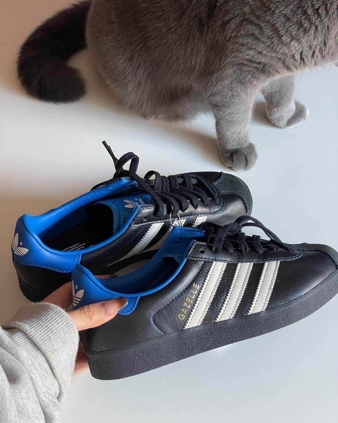 あきさんのインスタグラム写真 - (あきInstagram)「🩵💙 @adidasoriginals  80-85originals archive series ㅤㅤㅤㅤㅤㅤㅤㅤㅤㅤㅤㅤㅤ 履いた時のシルエットも全部 可愛いすぎて無理やった笑  #gazelle #adidas  #adidasoriginals  #アディダス #アディダスオリジナルス」12月1日 17時37分 - akeeey95