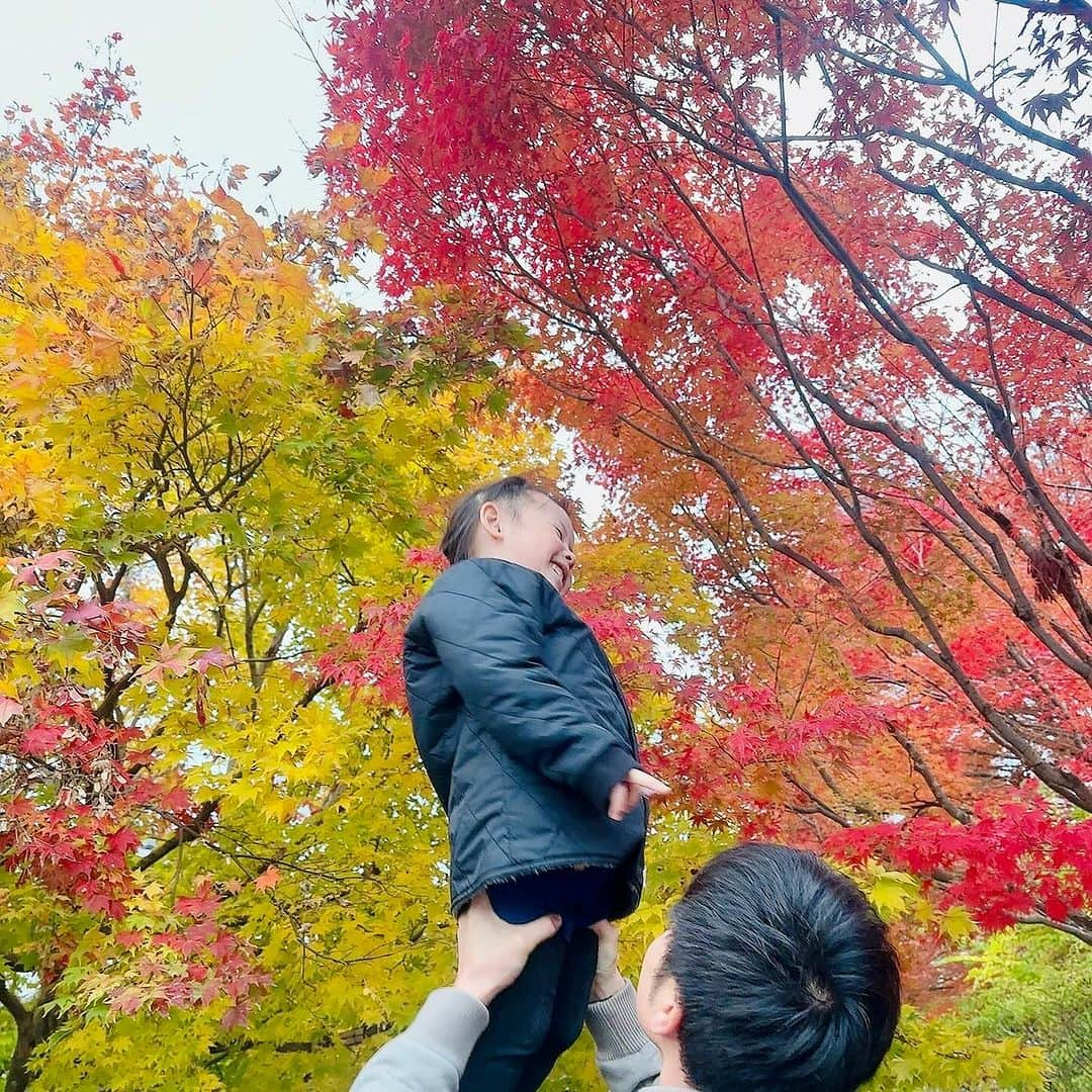 澤野井香里さんのインスタグラム写真 - (澤野井香里Instagram)「色とりどりの紅葉🍁がキレイでうっとり♡＾＾  パパ👨🏻の抱っこに大喜びのMで、Sが帰ってくるまで3人で#紅葉狩り 🎵  #ks_23✨ #ks_kyoto✨ #京都 #龍安寺 #京都紅葉 #紅葉 #紅葉スポット #紅葉シーズン #年中 #4歳 #4歳女の子 #ベビフル #ママリ #コドモノ #女の子ママ #男の子ママ　#ママライフ #kyoto #ryuanjitemple #redleaves #M🍒_  #👧🏻 #🍁」12月1日 17時40分 - kaori_sawanoi