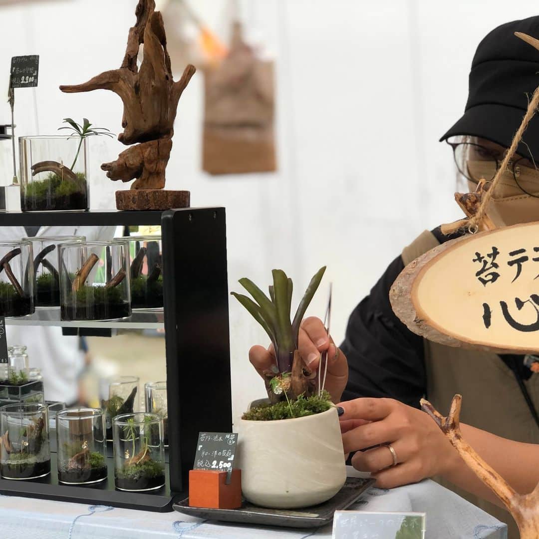 EINSHOP／アインショップさんのインスタグラム写真 - (EINSHOP／アインショップInstagram)「【朝市／日岡山公園第１駐車場前】12/2（土）9時から14時まで ◎出店情報  ＜ワークショップ、ハンドメイド雑貨のお店＞ ■Sri Anna／スリランカ布で作るハンドメイド雑貨・ドッグ用品 ■キマキマニッキ／古本、古雑貨、手づくり雑貨、絵のある雑貨 ■fleumede／季節の寄せ植、ドライフラワー、スワッグ ■Happy's antenna／ハンドメイド小物 手編み ドライフラワー、バルーン ■feather plus／マクラメ、天然石アクセサリー ■haos yard bloom／ドライフラワーアレンジメント ■心月／苔テラリウム・流木art、新鮮野菜『大根・さつまいも・白菜など』  ※販売商品の内容は変わる場合がございます  ※出店者は増減する場合があります ※雨天中止です  ・日時：12/2（土）9:00－14:00 ・会場：日岡山公園第１駐車場前 　〒675-0061 加古川市加古川町大野1682 ※無料駐車場・トイレあり ※公園内で犬の散歩をされる場合は、フンの始末は飼い主様の責任でお願いします。  #foodmarket #フードマーケット #青果 #オンザヒル #暮らし #アウトドア #イベント #オープンデパート #オープンデパート朝市 #ペットOK #加古川朝市 #roomette #ムサシ朝市 #ウェルネス #634朝市 #asaichi #マルシェ #朝市 #加古川ウェルネスパーク #日岡山第１駐車場 #あじさいフローラみき #河川敷朝市 #日岡山グラウンド #チェントクオーレハリマ #SAVEKAKOGAWAFES #SKF #スラックライン #ドッグスクール #eBIKE」12月1日 17時54分 - 634asaichi