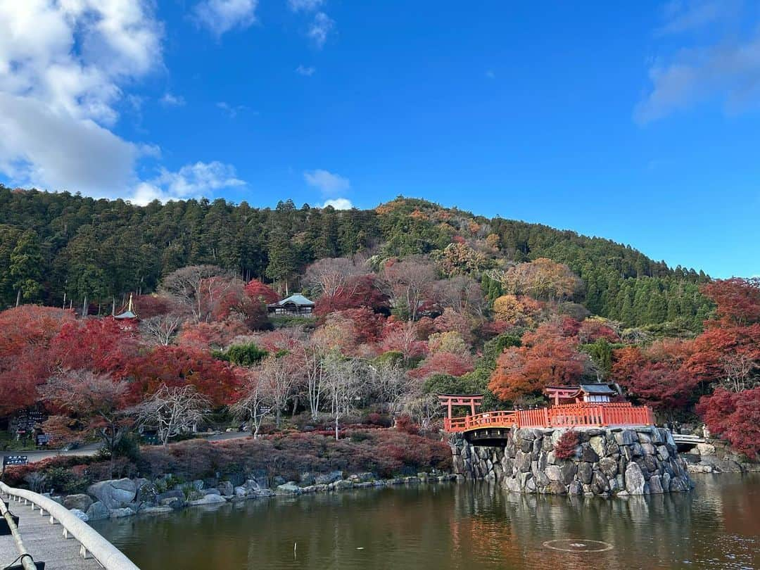 髙橋塁さんのインスタグラム写真 - (髙橋塁Instagram)「勝尾寺🍁🍁🍁」12月1日 18時02分 - rui_takahashi_