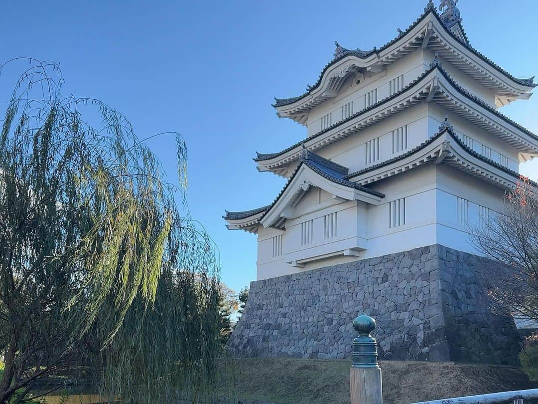 にゃんこスターさんのインスタグラム写真 - (にゃんこスターInstagram)「明日いまたまロケいってます！ 埼玉県・行田市の「花手水」をめぐってきました！  ▽テレ玉「いまドキッ！埼玉」 12/2（土）8:30〜  行田市では、花手水（はなちょうず）という、手水鉢に花を浮かべたむちゃくちゃ美しいものがなんと街中で100ヶ所も見れてしまう素敵な街なのです。  これ…！ まじめちゃくちゃ美でした…！  ハッと目が覚めるような美しさと、花の生命力に圧倒されました！ 最近ねむい人とかウダウダしがちな人は一回見に行くことオススメしてます！  いま行田市では「行田花手水week」なるものをやっていて、しかも明日12/2はライトアップや忍城での忍者ショー、忍城へのアートレーザーマッピングをやっているので行くならこの日と言っても過言じゃないです！  ロケも見て、行田にも行ってみてねー！  #にゃんこスター #アンゴラ村長 #いまドキッ埼玉 #いまたま #埼玉県行田市 #行田市 #行田 #行田花手水week #花手水  #行田八幡神社 #ふじや呉服店  #戸塚煎餅店 #ぶらっとぎょうだ #忍城」12月1日 18時05分 - nyanco_star_pu_pu_mu