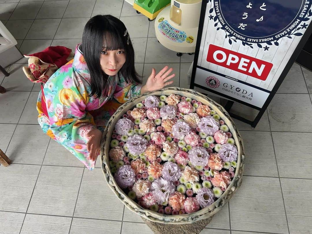 にゃんこスターさんのインスタグラム写真 - (にゃんこスターInstagram)「明日いまたまロケいってます！ 埼玉県・行田市の「花手水」をめぐってきました！  ▽テレ玉「いまドキッ！埼玉」 12/2（土）8:30〜  行田市では、花手水（はなちょうず）という、手水鉢に花を浮かべたむちゃくちゃ美しいものがなんと街中で100ヶ所も見れてしまう素敵な街なのです。  これ…！ まじめちゃくちゃ美でした…！  ハッと目が覚めるような美しさと、花の生命力に圧倒されました！ 最近ねむい人とかウダウダしがちな人は一回見に行くことオススメしてます！  いま行田市では「行田花手水week」なるものをやっていて、しかも明日12/2はライトアップや忍城での忍者ショー、忍城へのアートレーザーマッピングをやっているので行くならこの日と言っても過言じゃないです！  ロケも見て、行田にも行ってみてねー！  #にゃんこスター #アンゴラ村長 #いまドキッ埼玉 #いまたま #埼玉県行田市 #行田市 #行田 #行田花手水week #花手水  #行田八幡神社 #ふじや呉服店  #戸塚煎餅店 #ぶらっとぎょうだ #忍城」12月1日 18時05分 - nyanco_star_pu_pu_mu