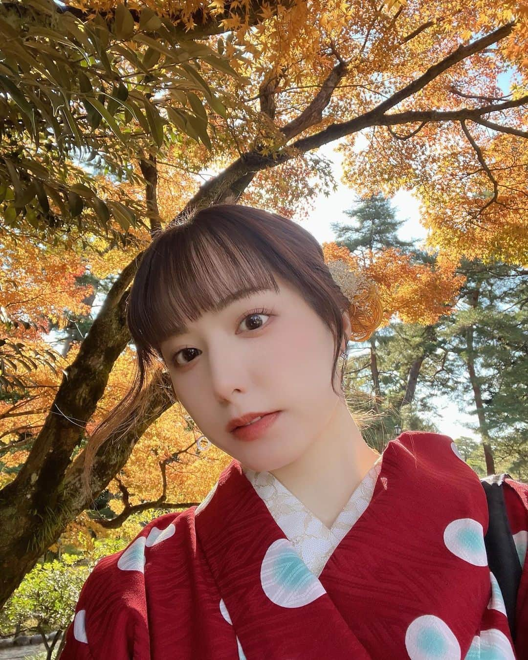 前田美里さんのインスタグラム写真 - (前田美里Instagram)「今年もあと1ヶ月。よろしくお願いします…🍁 . . #兼六園 #東茶屋街 #金沢 #石川県 #着物 #紅葉  #グラビアアイドル  #アイドル  #被写体 #ファインダー越しの私の世界 #写真好きな人と繋がりたい  #写真 #ヲタク #櫻坂46 #欅坂46 #日向坂46 #フォロー #フォロワー募集中 #gravure #idol #kimono #japanesegirl #follow #followme #좋아요 #팔로우미 #팔로미 #오오티디 #화보」12月1日 18時20分 - maeda_misato