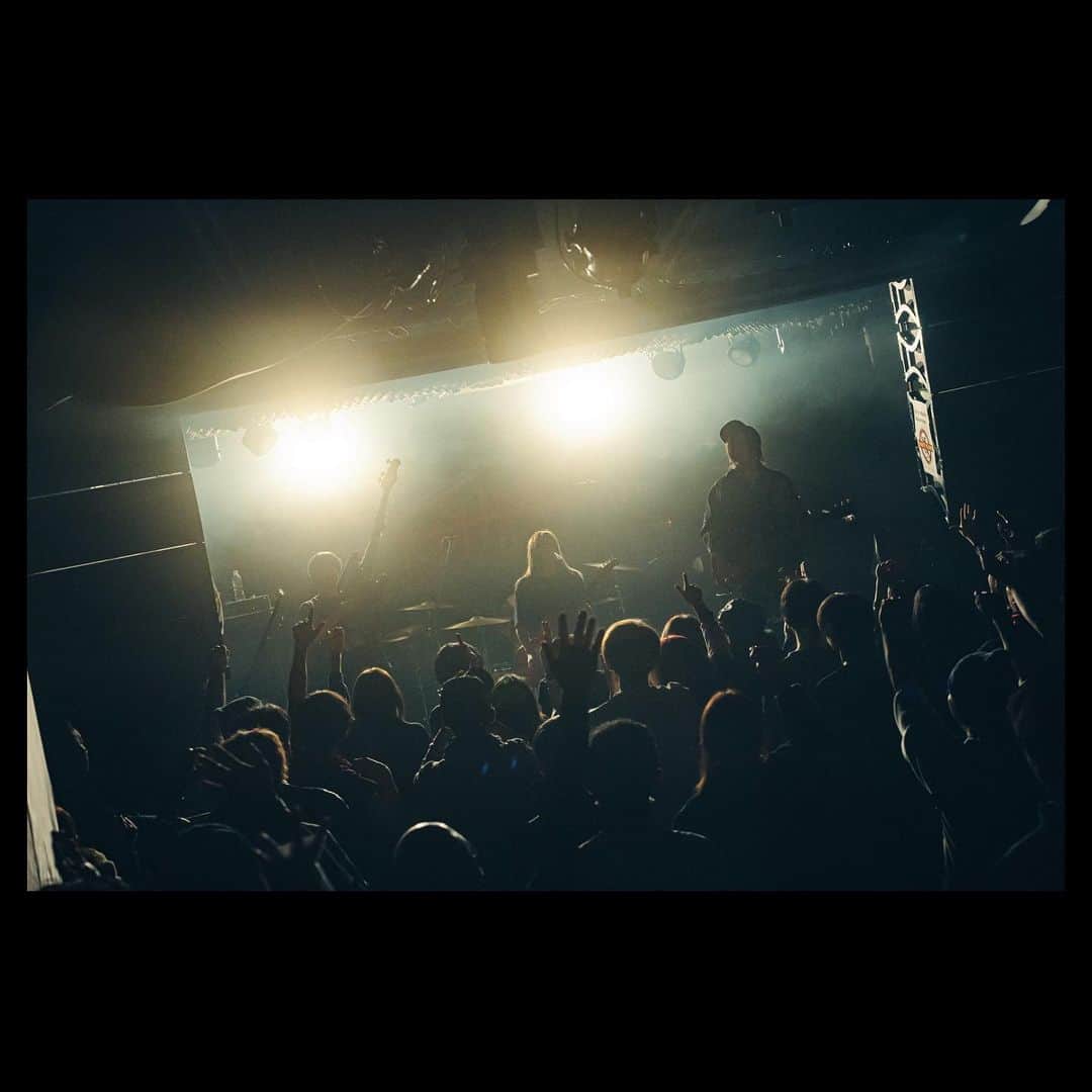 MOSHIMOさんのインスタグラム写真 - (MOSHIMOInstagram)「. 2023.11.25 「REVENGE & CHALLENGE TOUR」 札幌 SPiCE  photo by @teru_ttm」12月1日 18時14分 - moshimo_band