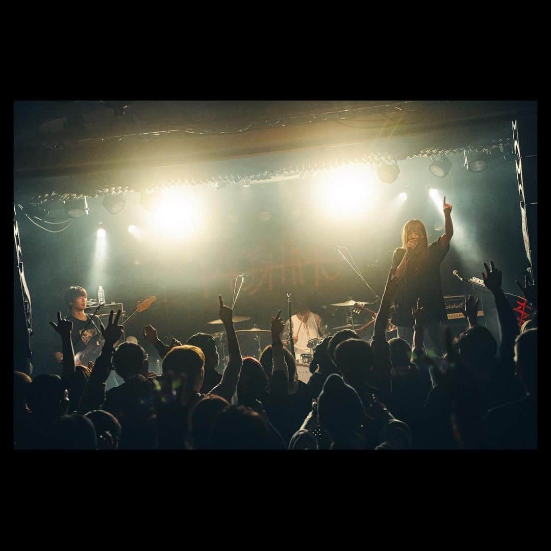 MOSHIMOさんのインスタグラム写真 - (MOSHIMOInstagram)「. 2023.11.25 「REVENGE & CHALLENGE TOUR」 札幌 SPiCE  photo by @teru_ttm」12月1日 18時14分 - moshimo_band