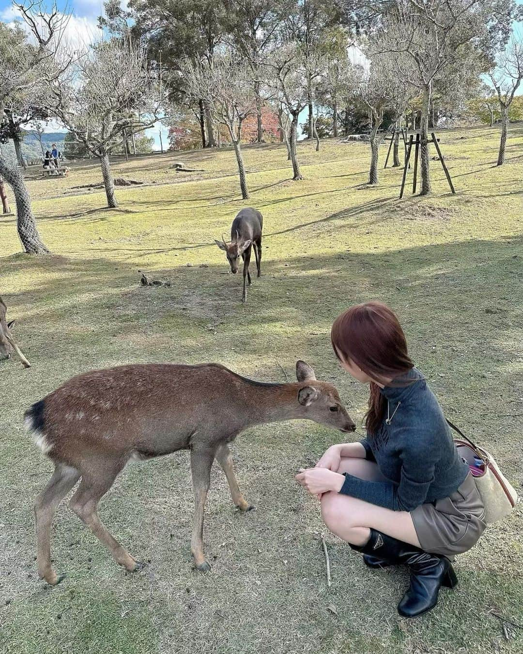 森田由乃さんのインスタグラム写真 - (森田由乃Instagram)「_ ちょっと前ストーリーに載せたコーデ好評だったので👯‍♀️🤏🏻 . タートルあまり着てこなかったのだけどたまにはいいね。 . . 奈良いった時と同じ服ゆえ 鹿との戯れ写真もくっ付けとく🦌🎶💨 . 1枚めはまだ鹿と距離とり警戒中のモリタ。 2枚めはちょっと慣れてきて親しげ感出せてるモリタ。 . . 鹿せんべい買ったら 追いかけまわされてお尻かじられたよ🍑泣ｲﾃﾃ . . . . #冬コーデ#タートルニット#タートルネック #zaraコーデ#zara#prada #ミディアム#ミディアムヘア#似合わせカット#巻き髪 #レイヤーカット#韓国ヘア#ワンホンヘア#ヨシンモリ #奈良公園#奈良旅行#奈良#narapark」12月1日 18時22分 - yunono22