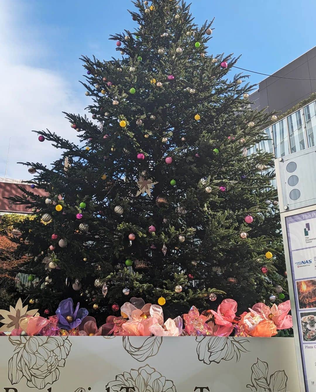 宮田愛子のグルメインスタ
