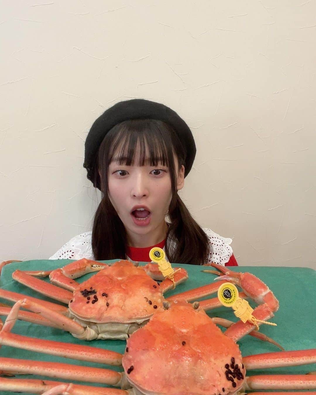 坂川陽香のインスタグラム：「🦀🦀🦀🦀🦀❤️❤️❤️  先日、福井ブランドガニの 越前ガニを食べました〜！！🦀✌🏻  越前ガニは黄色のタグが目印です✨️👀  とてつもなく美味しかった。。т · т 福井の冬の特権です〜！！！  福井に来たら是非皆さんも食べてくださいね！  そして今日から12月⛄️❄️ 今年ラスト1ヶ月もよろしくお願いします！！！  #福井県  #越前ガニ  #坂川陽香 #akb48 #06」