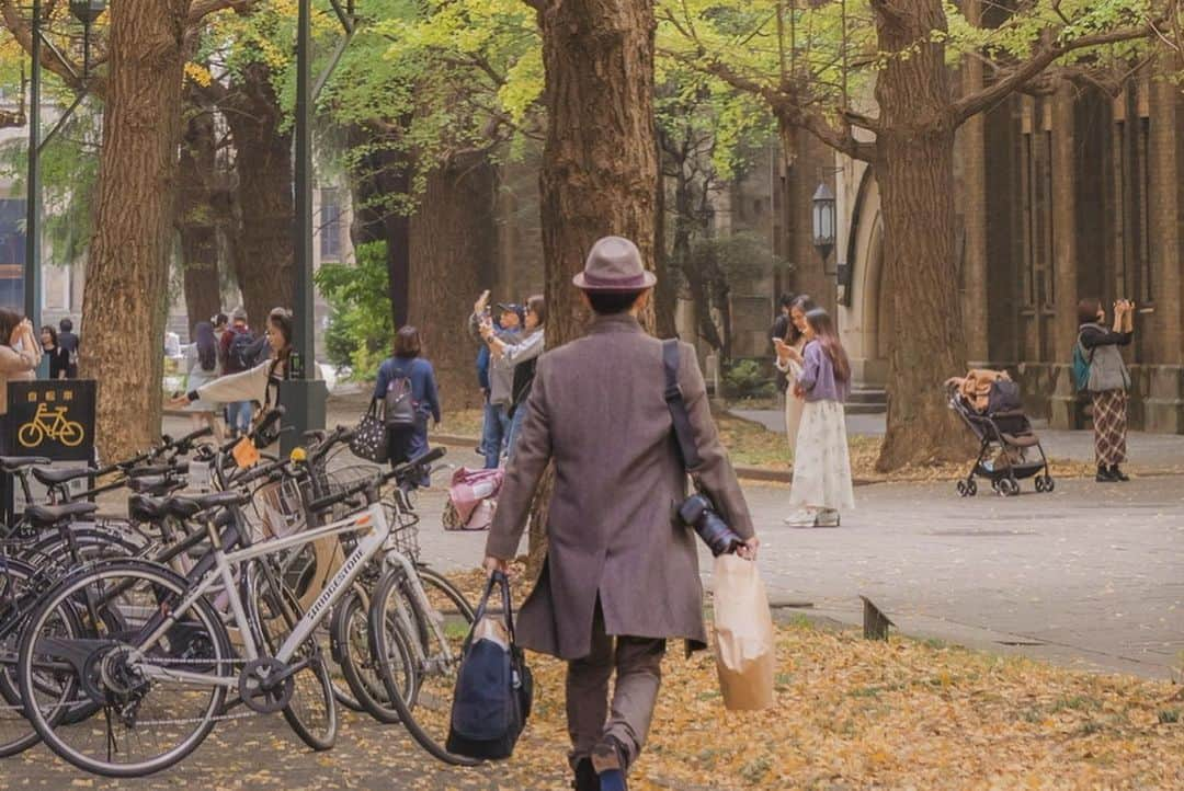 紋次郎さんのインスタグラム写真 - (紋次郎Instagram)「Thanks @mieco0526   加工はしてないけど、実際の飼い主こんなに格好良くないです🤣 被写体の魅力を引き出してるのは技術だけじゃない気がする！ 日常を切り取り思い出にしてくれるポートレートに、 毎回感謝と感動でいっぱい！ #dog#dogstagram#instadog#chihuahua#barkbox#mydogiscutest#buzzfeed#dog_features#fluffypack#barkpack#dogsofinstagram#犬#チワワ#手作り#handmade#着物#fashion#紋次郎一家#チーム茶#ふわもこ部#igersjp#peco犬部#dogfashion #whisky」12月1日 18時31分 - montjiro